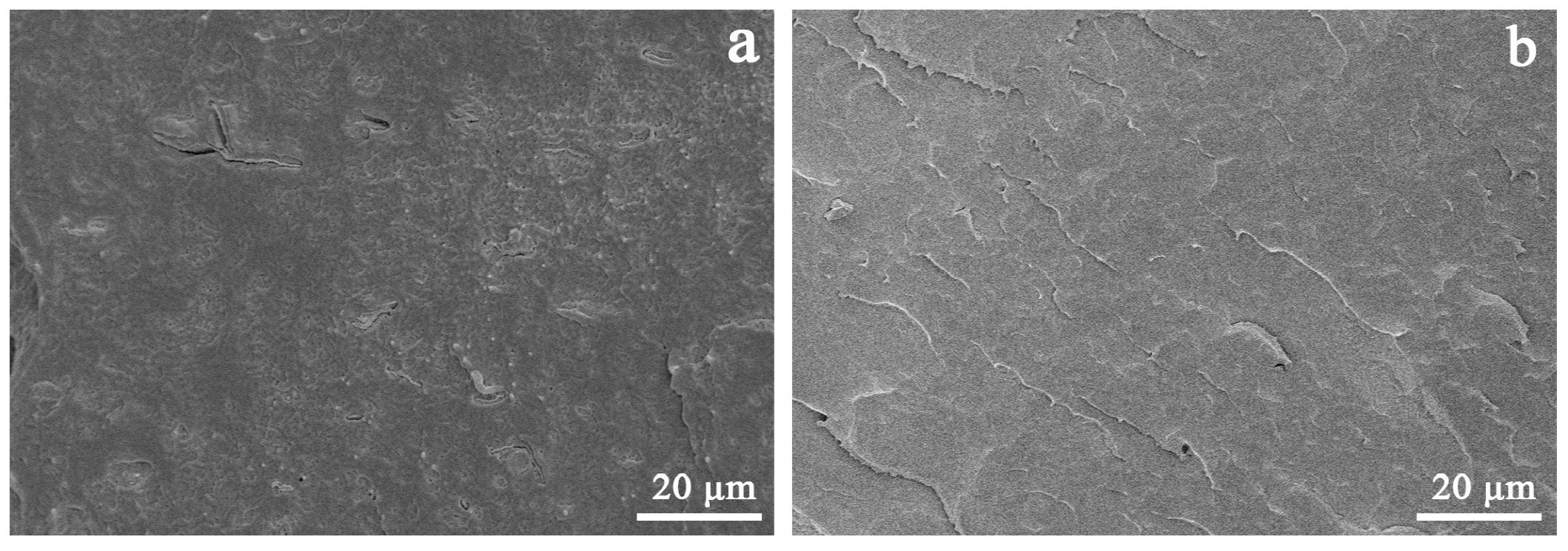 Polymers 14 03637 g011 550