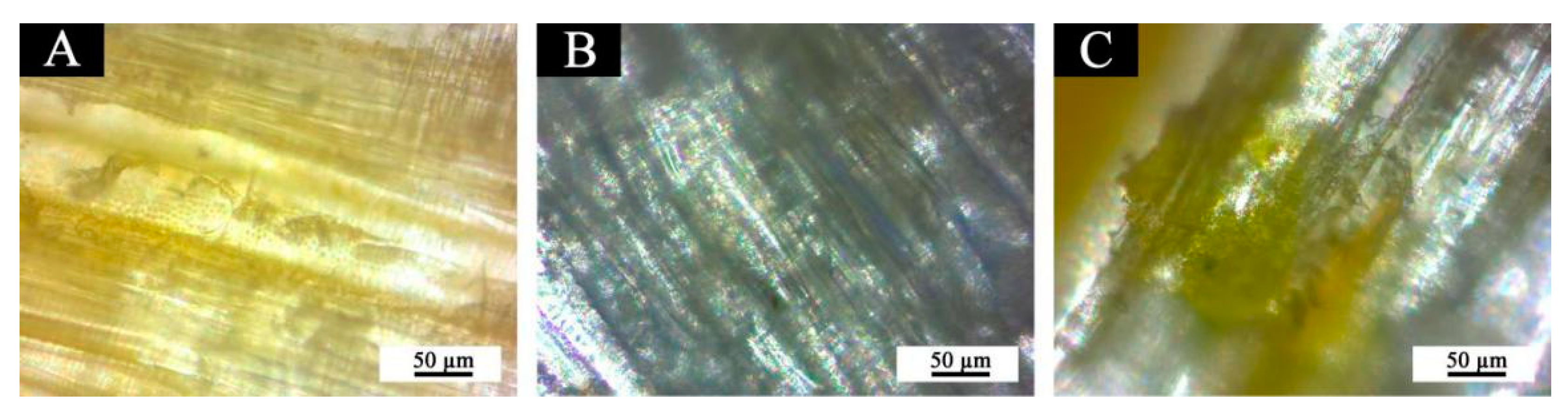 Polymers 14 03638 g007 550