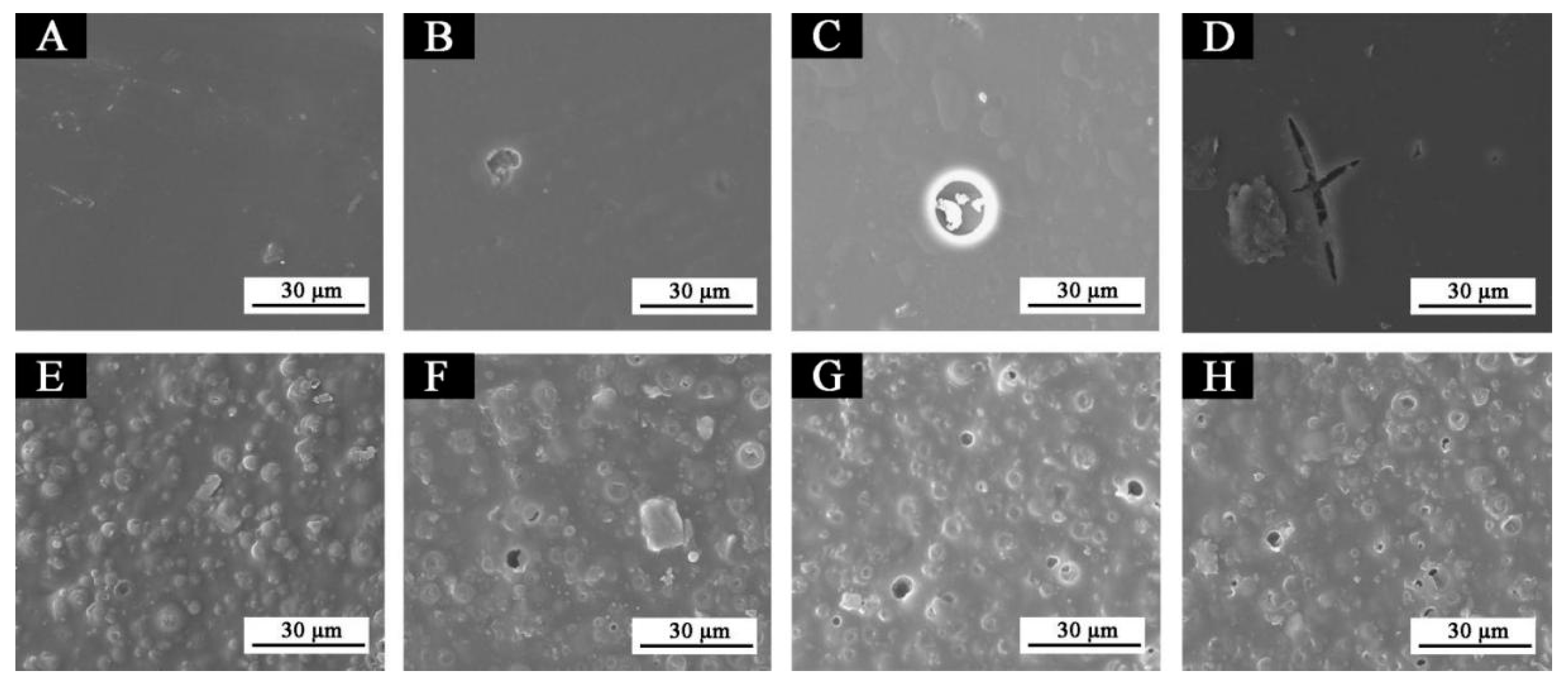 Polymers 14 03638 g008 550