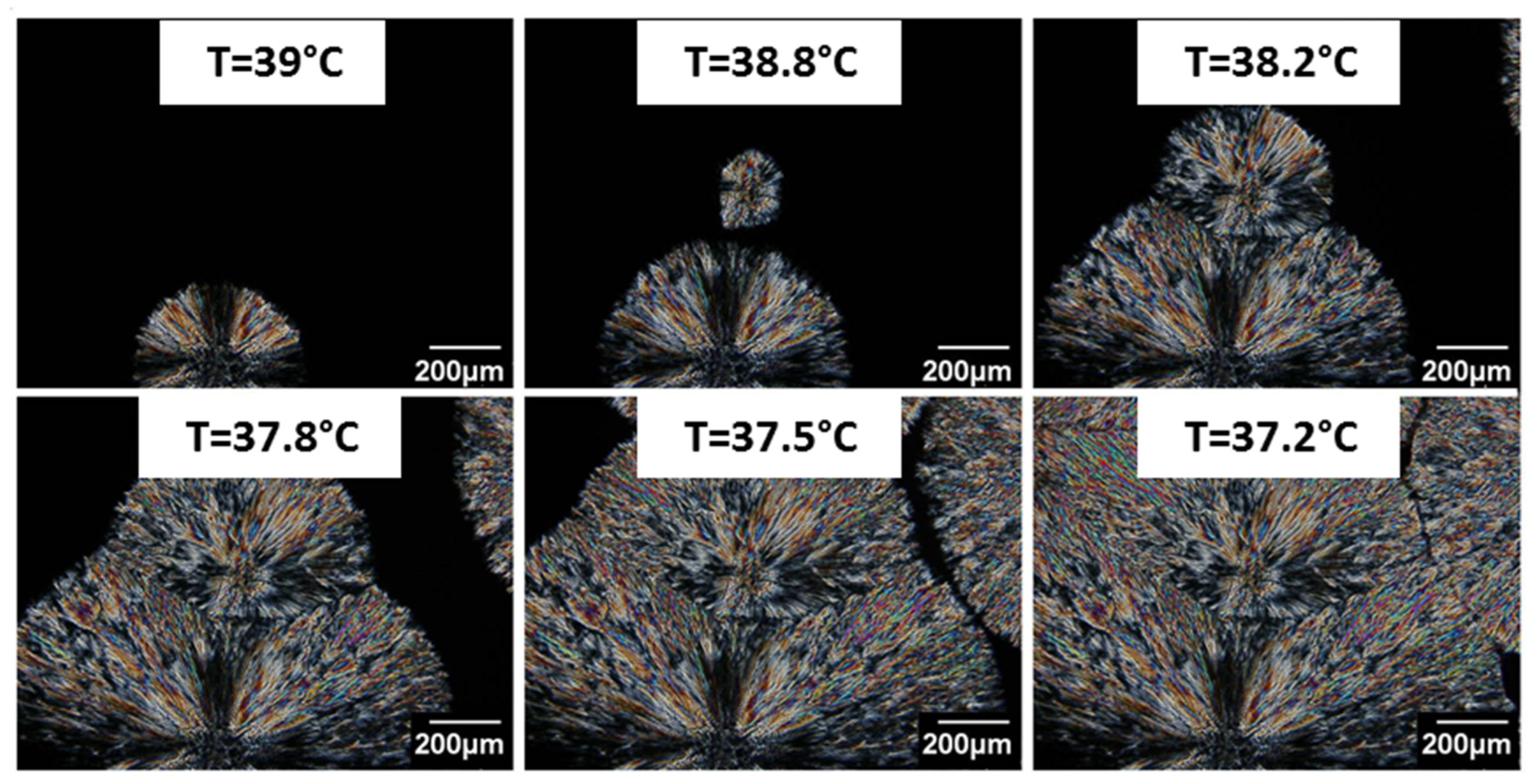 Polymers 14 03639 g004 550