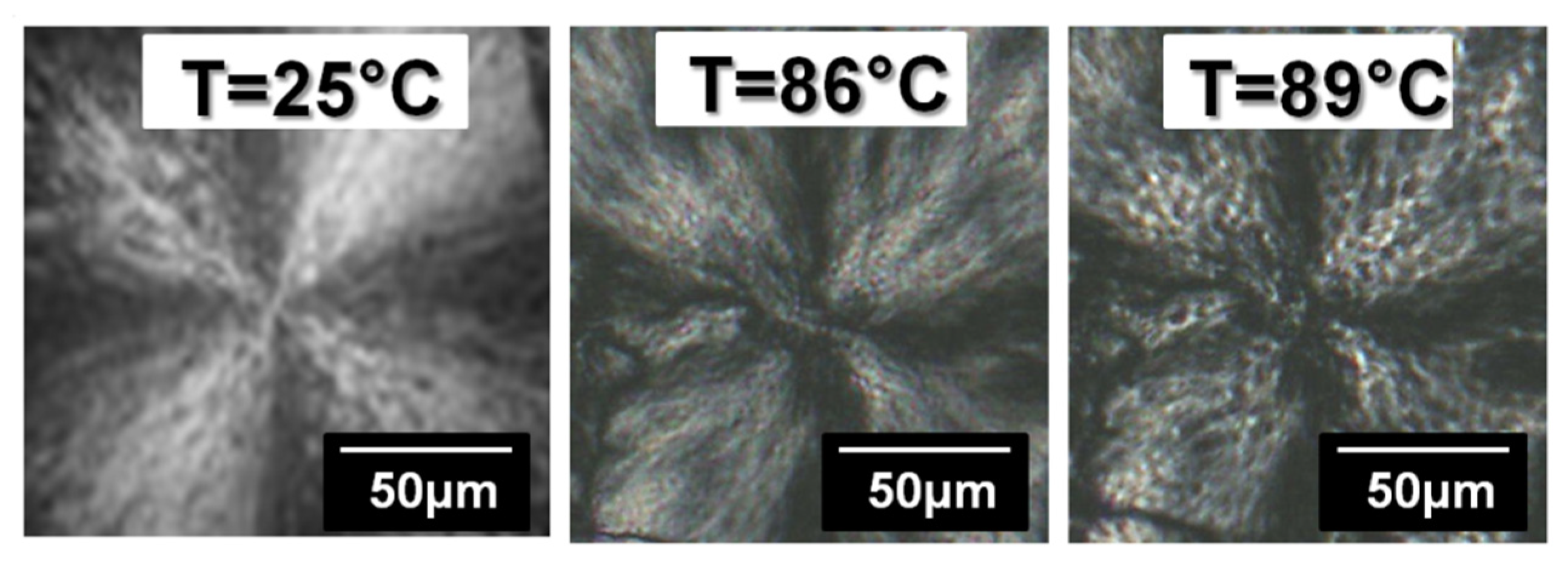 Polymers 14 03639 g008 550