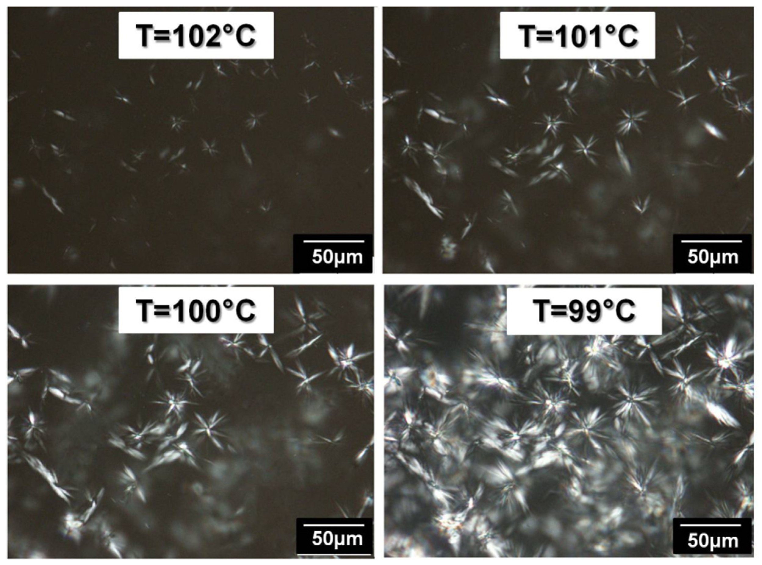 Polymers 14 03639 g009 550