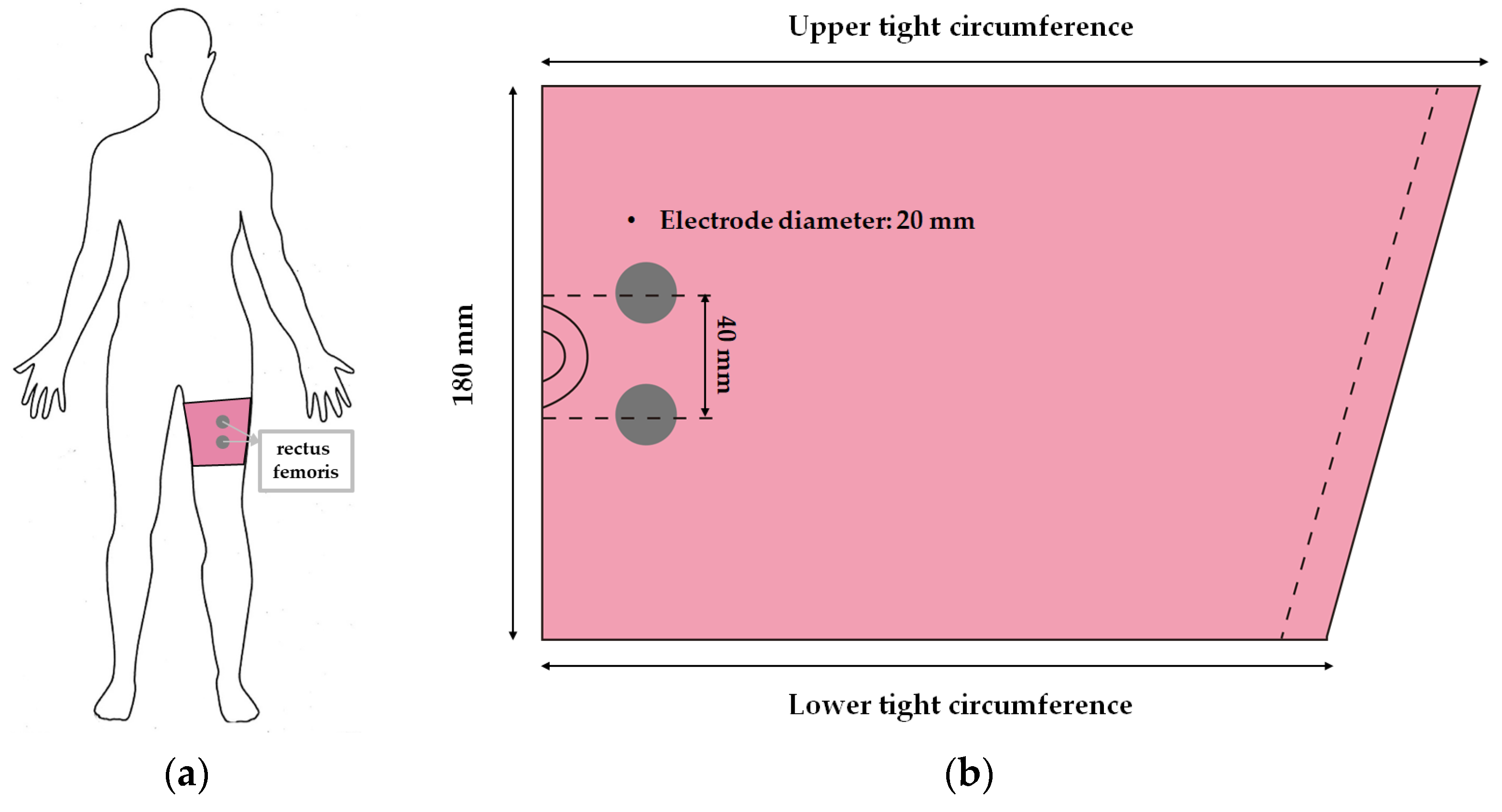 Polymers 14 03641 g001 550