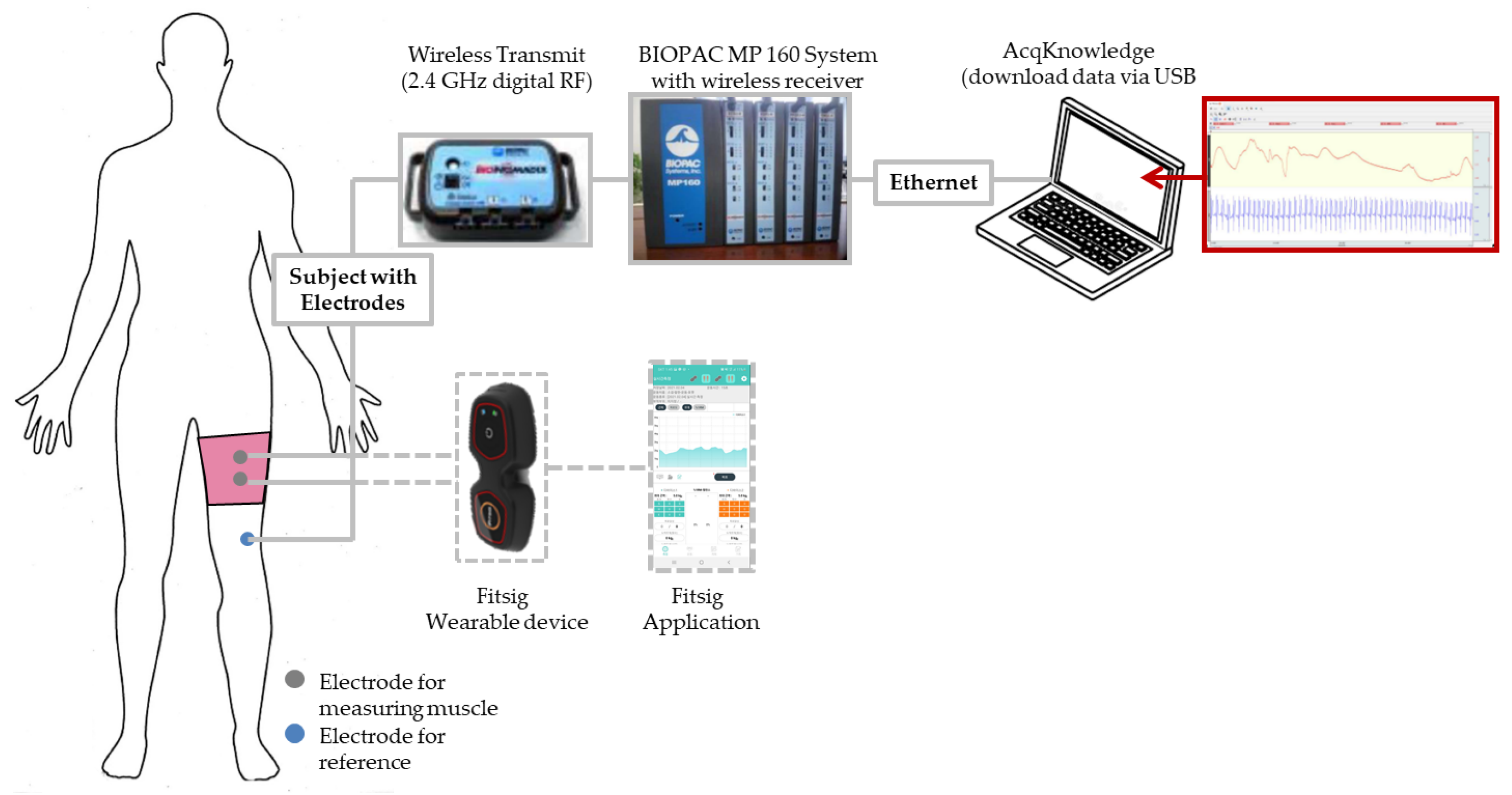 Polymers 14 03641 g002 550