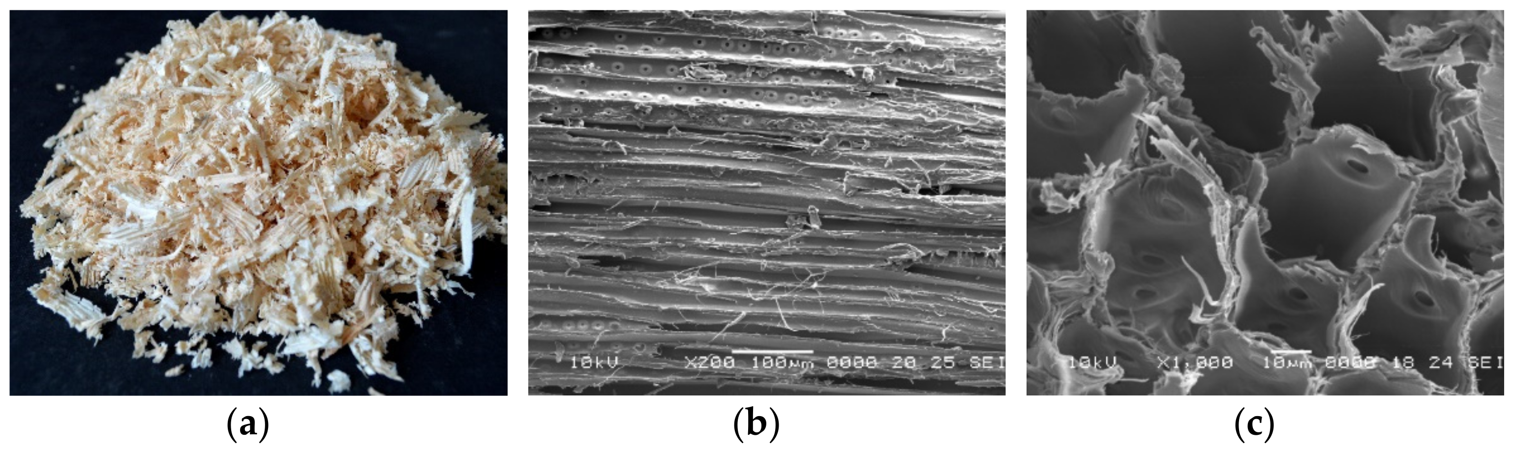 Polymers 14 03643 g001