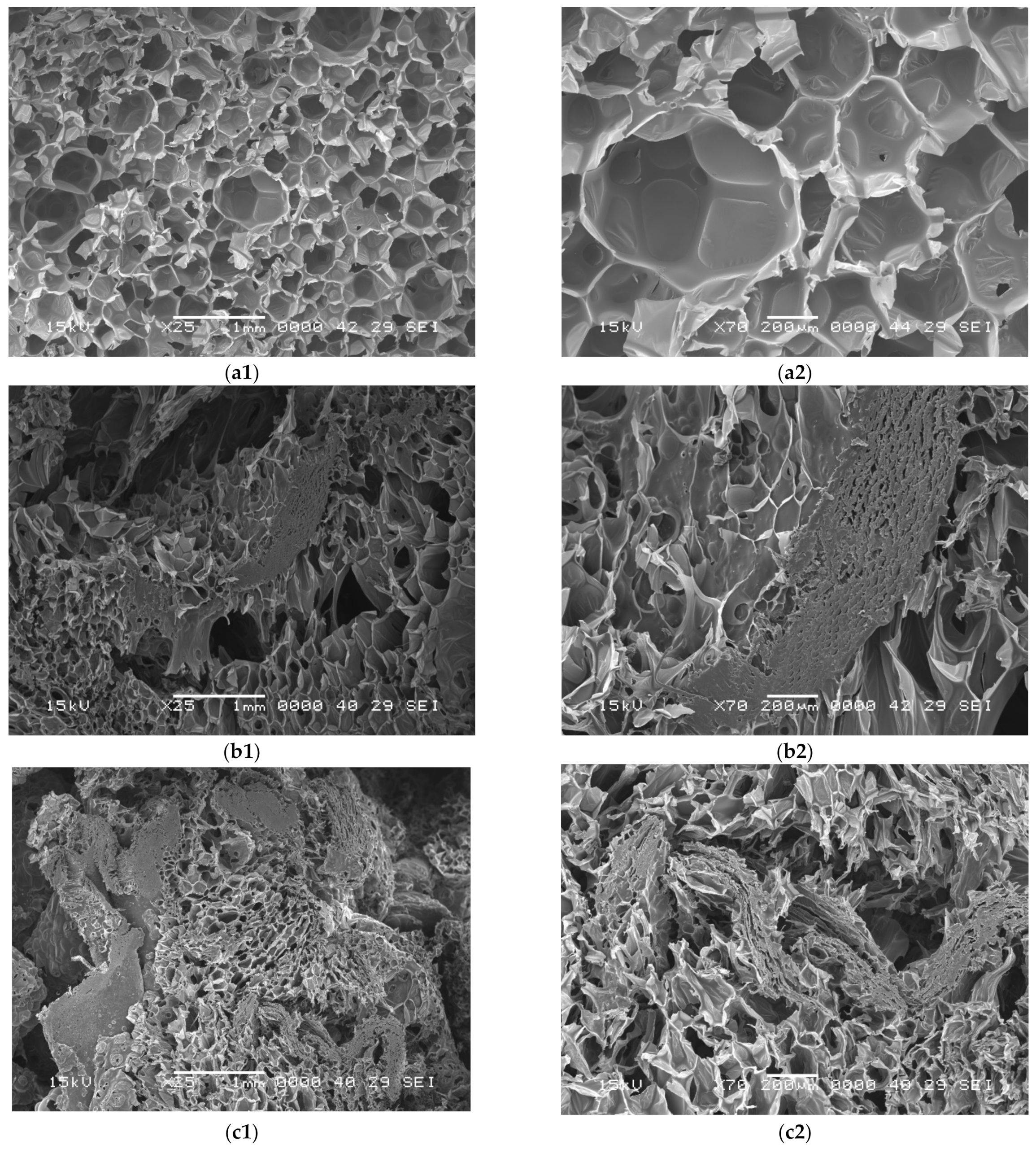 Polymers 14 03643 g005