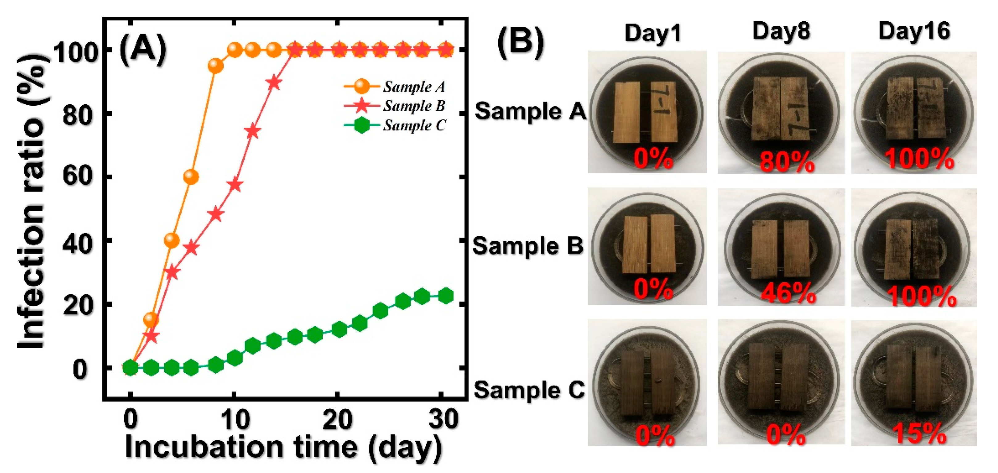 Polymers 14 03644 g007 550