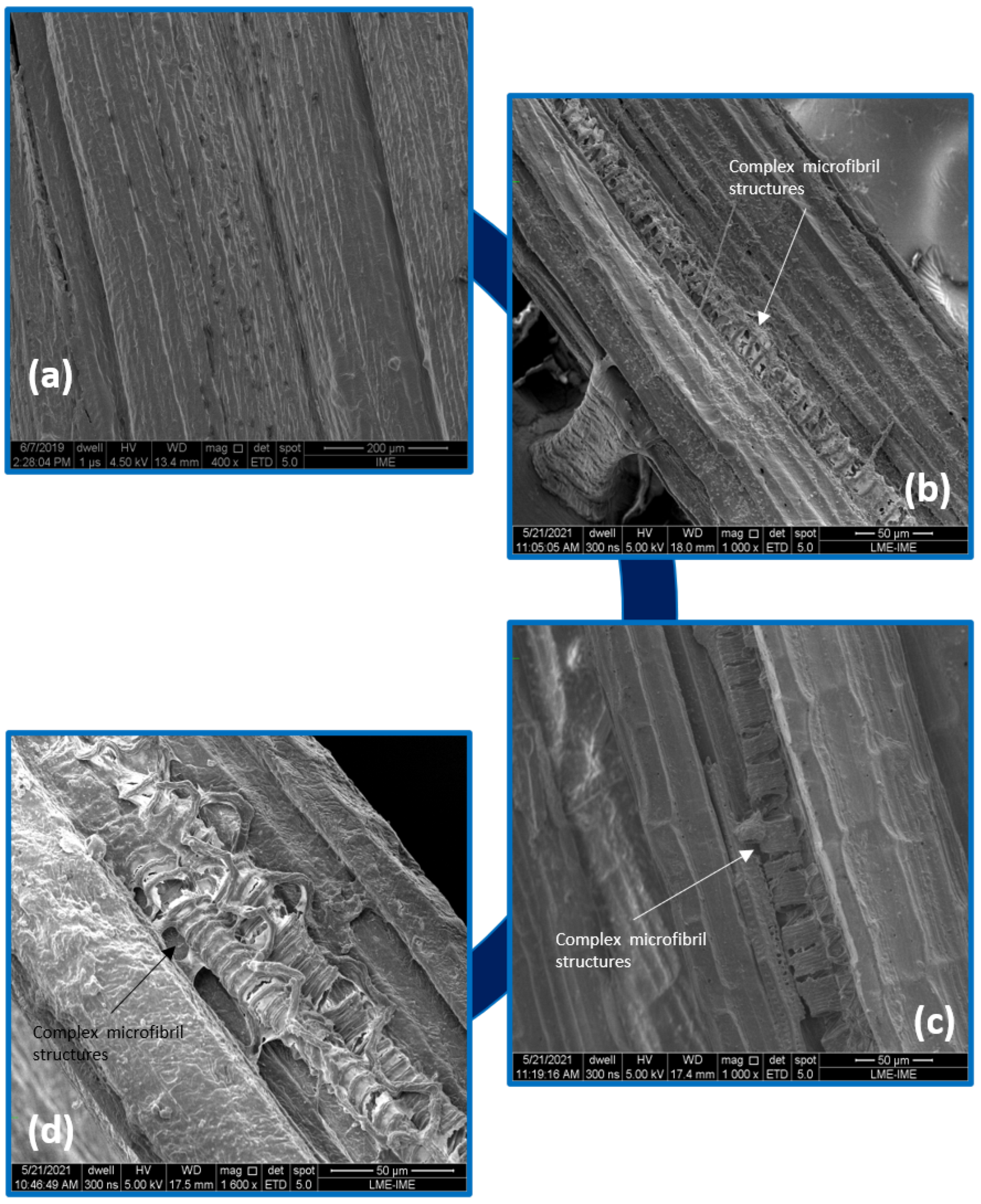 Polymers 14 03650 g005