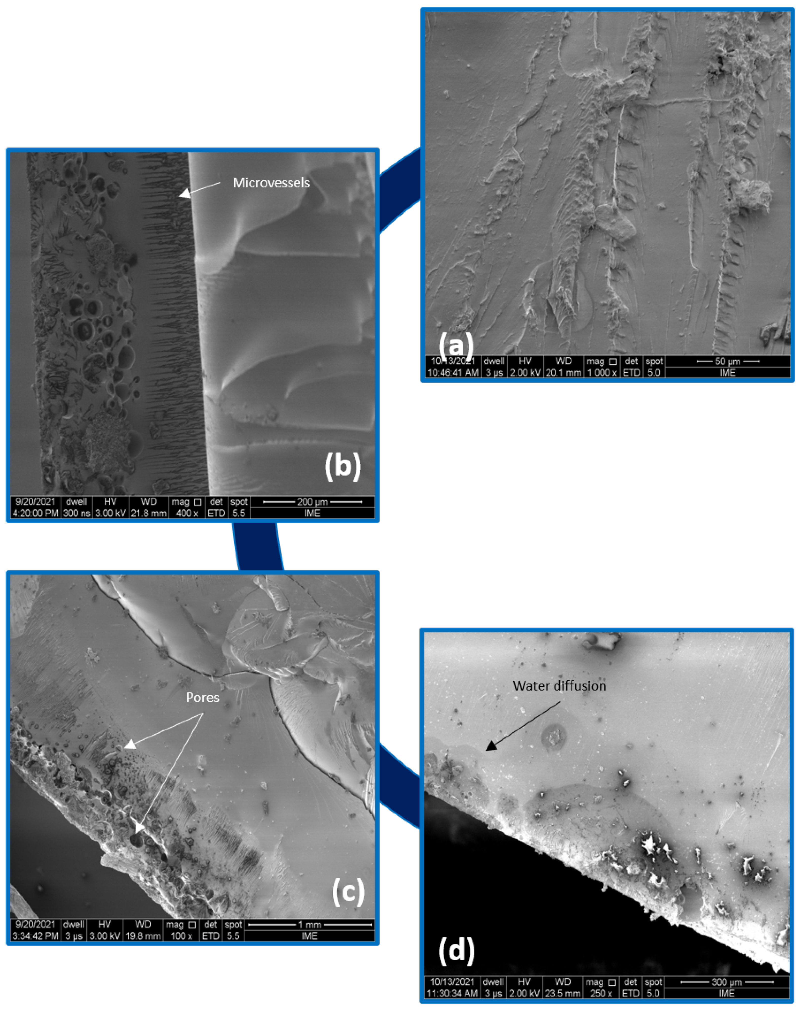 Polymers 14 03650 g006