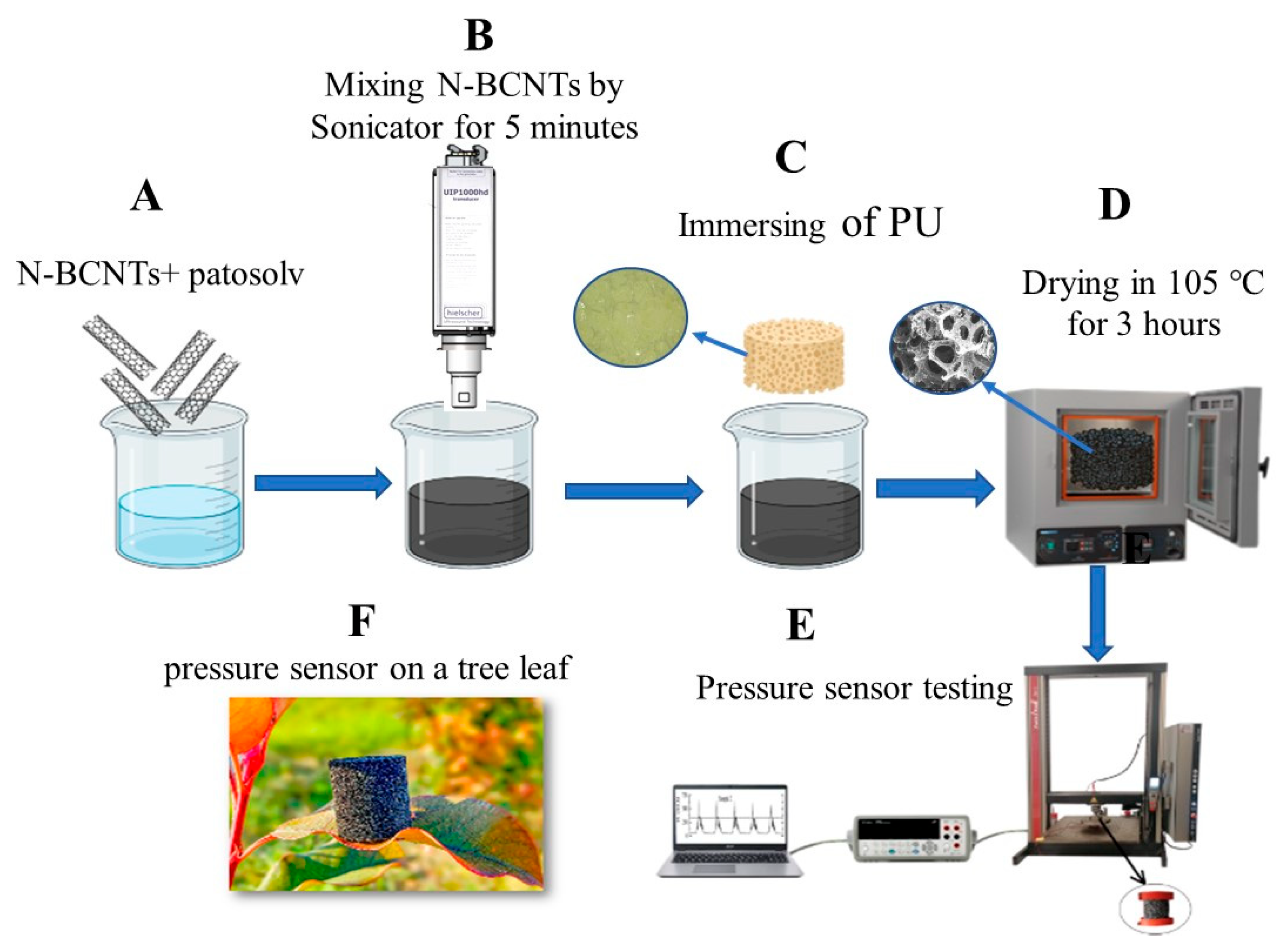 Polymers 14 03652 g002