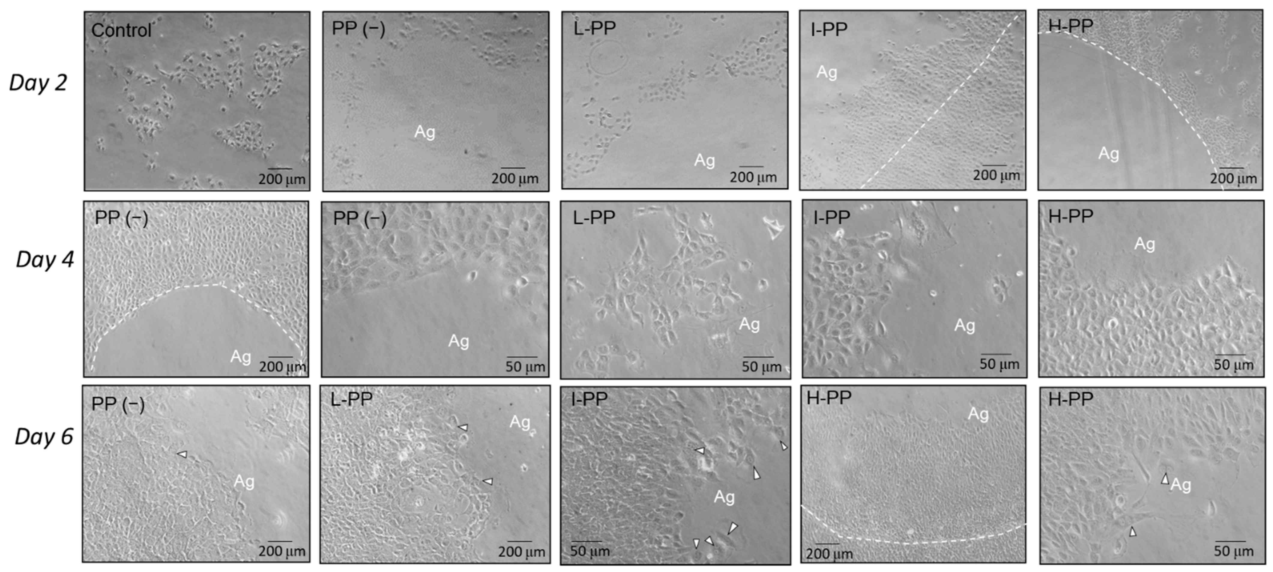 Polymers 14 03656 g002 550