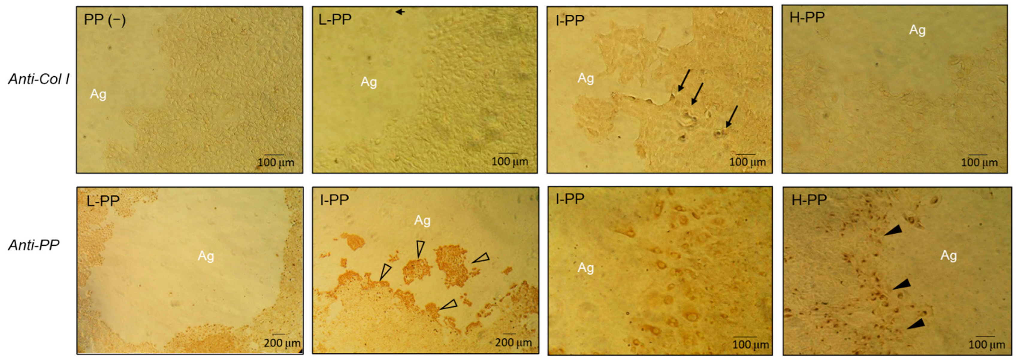 Polymers 14 03656 g003 550