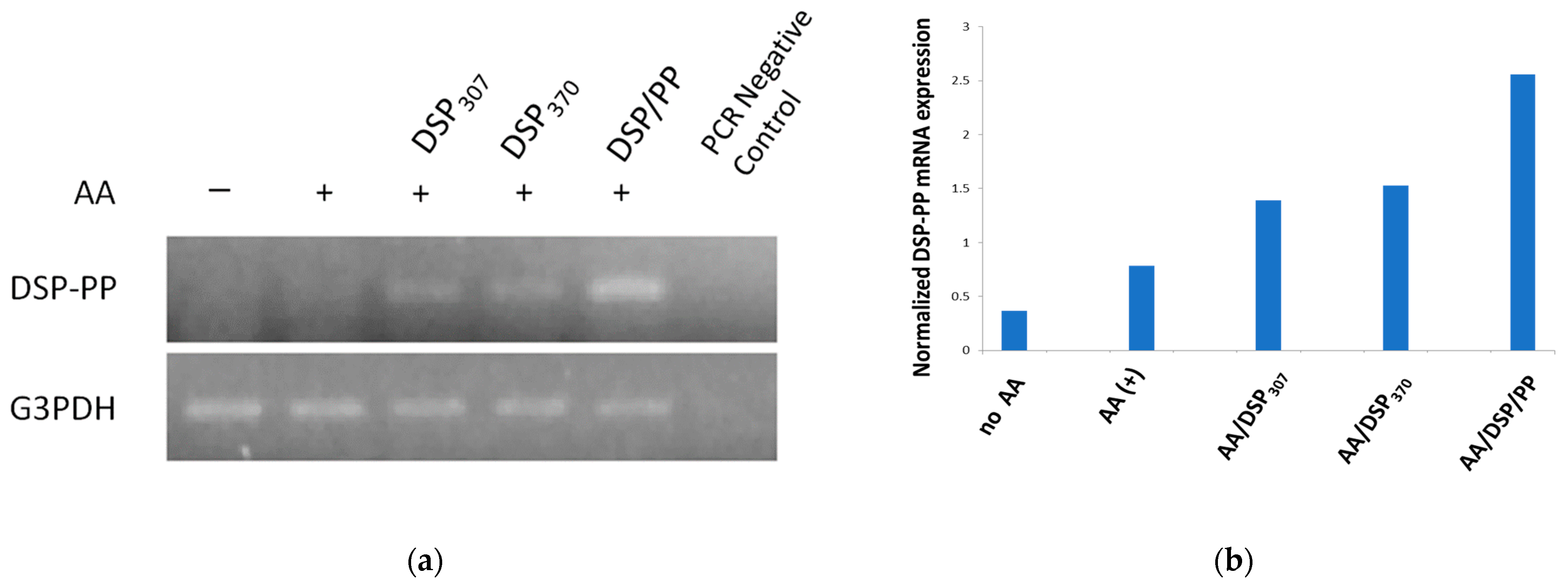 Polymers 14 03656 g004 550