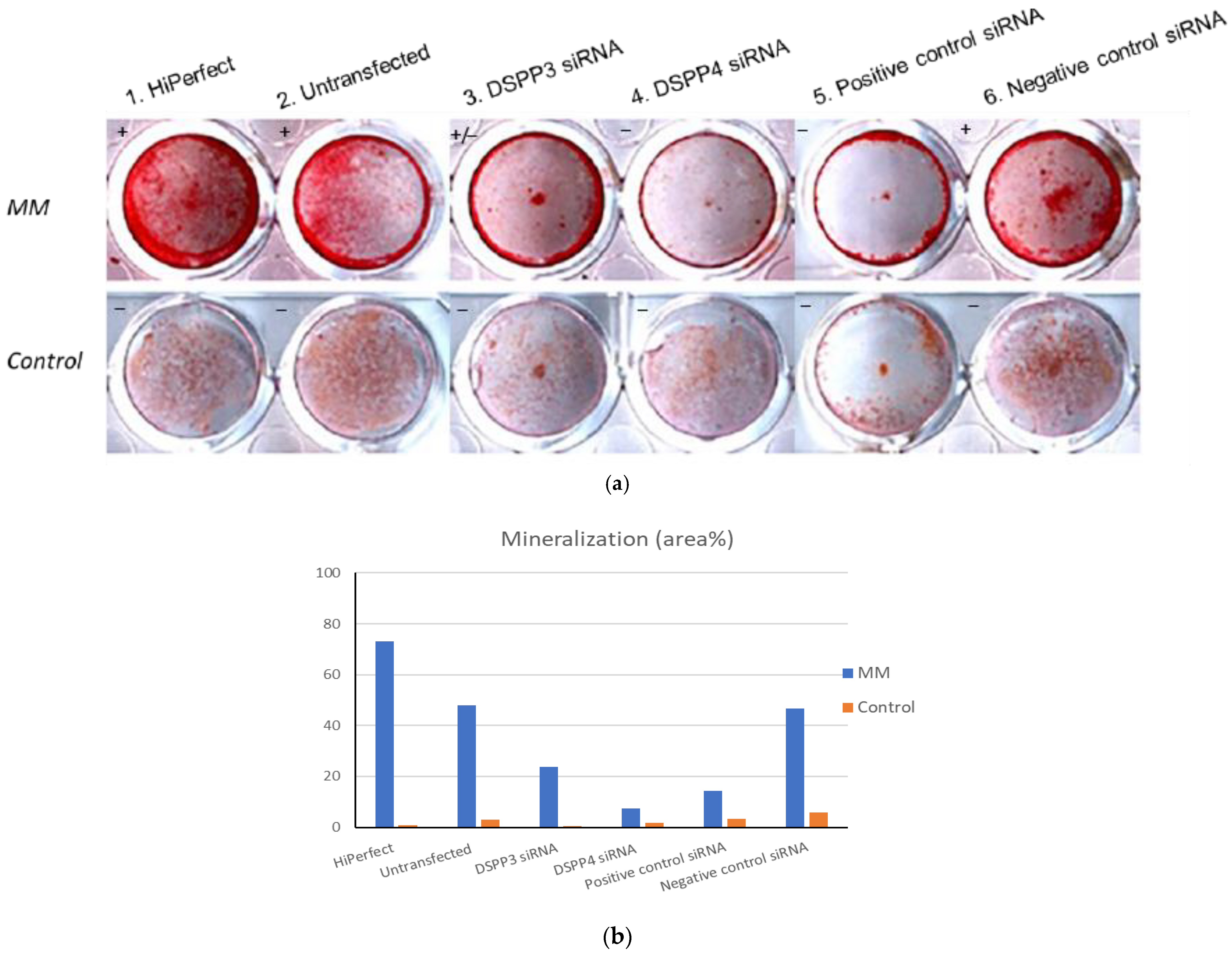 Polymers 14 03656 g005 550