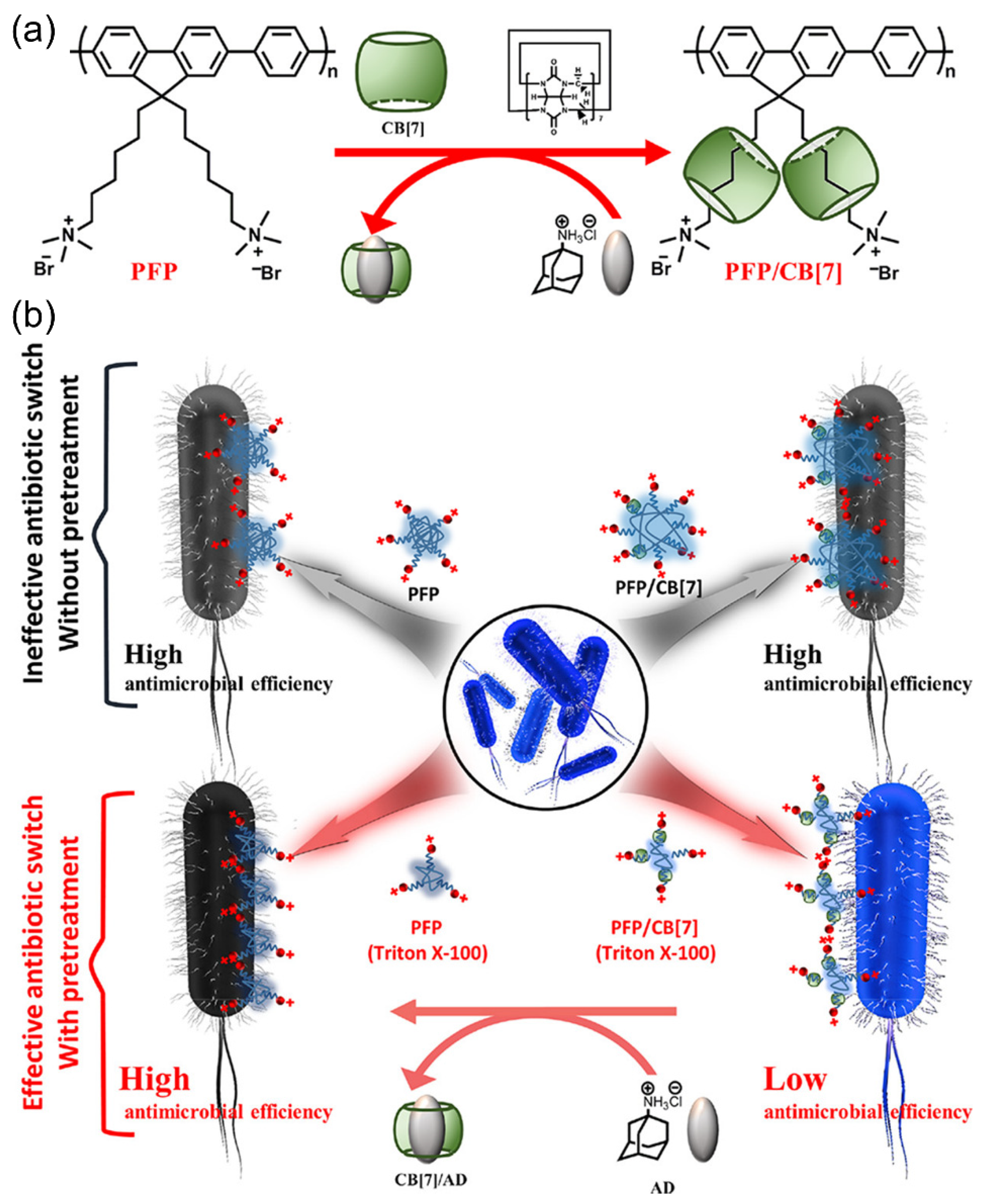 Polymers 14 03657 g008 550