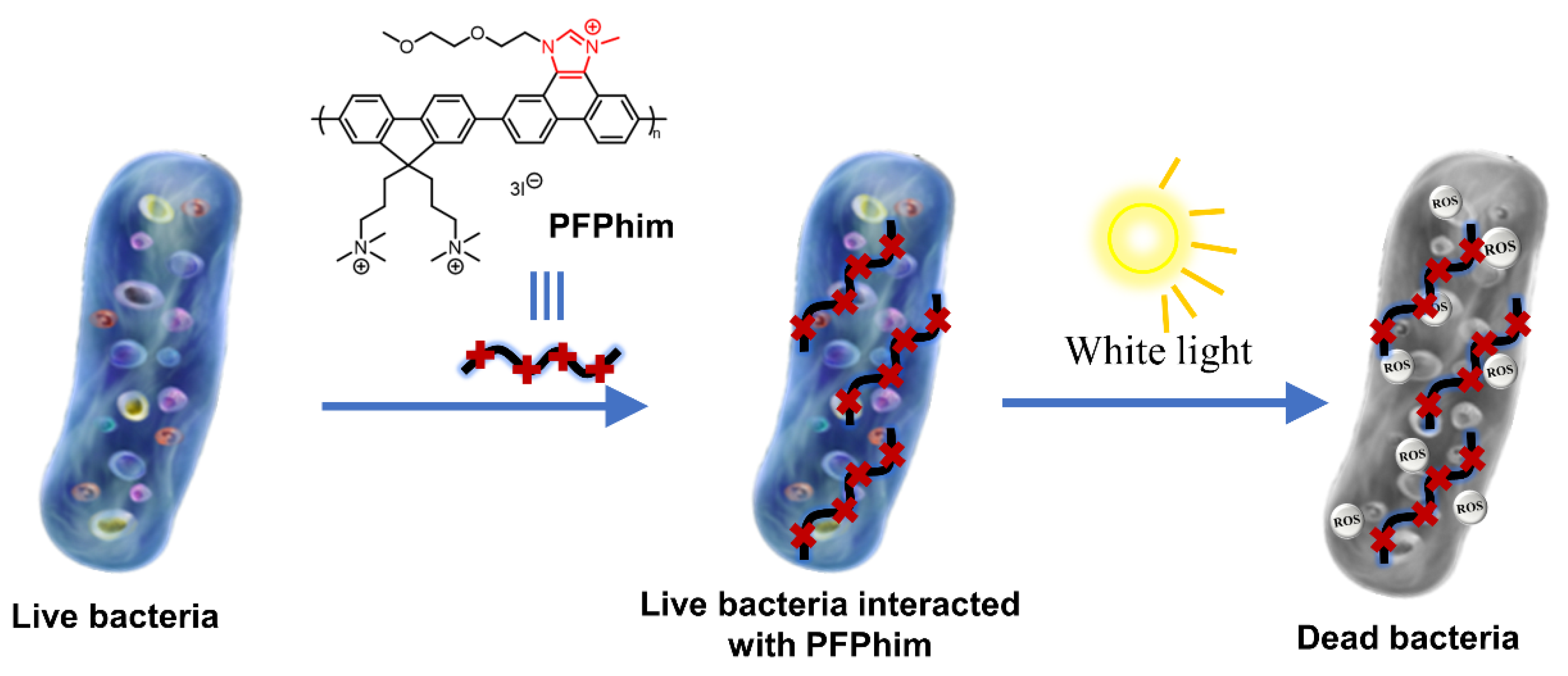 Polymers 14 03657 g009 550
