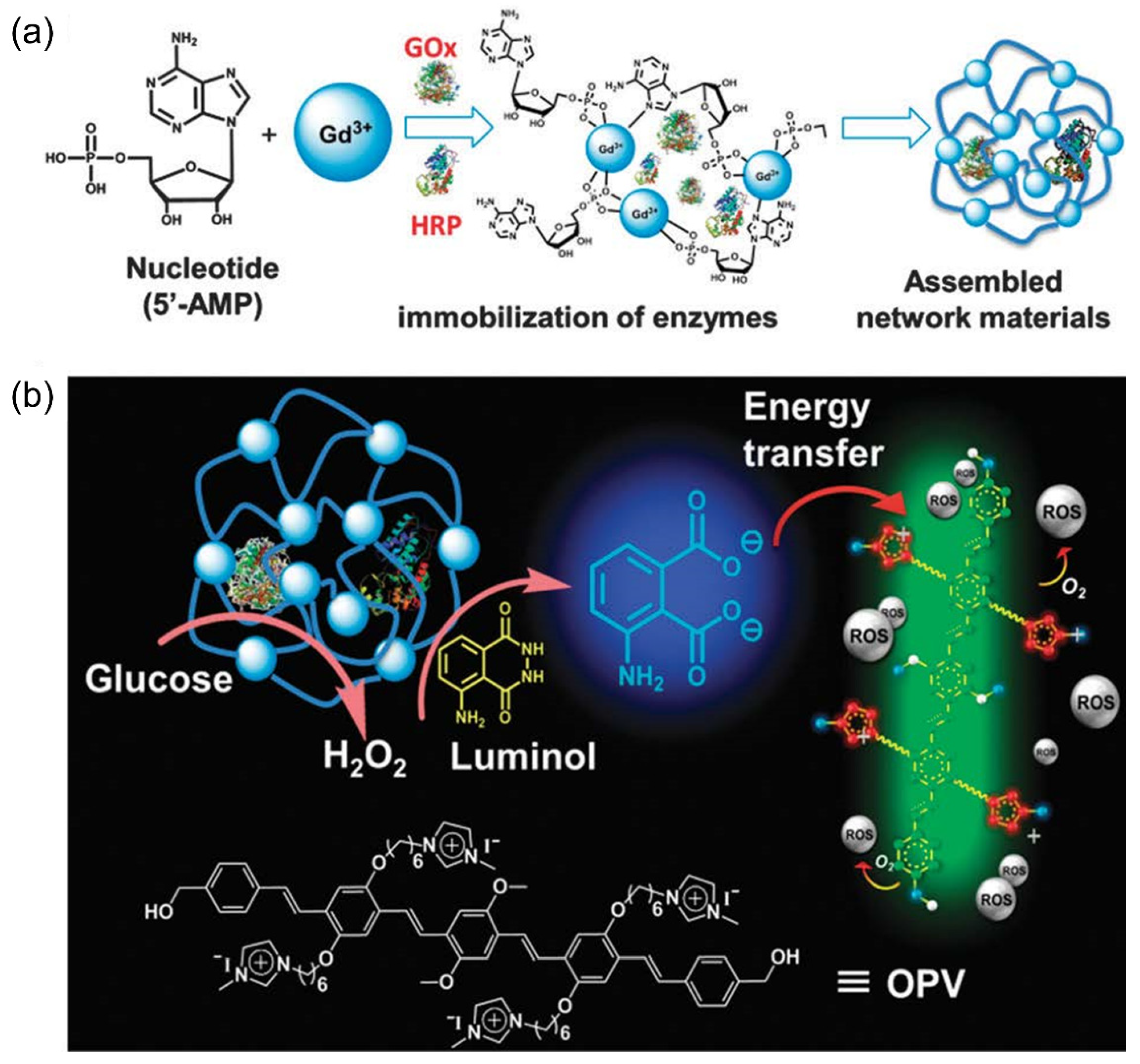 Polymers 14 03657 g013 550