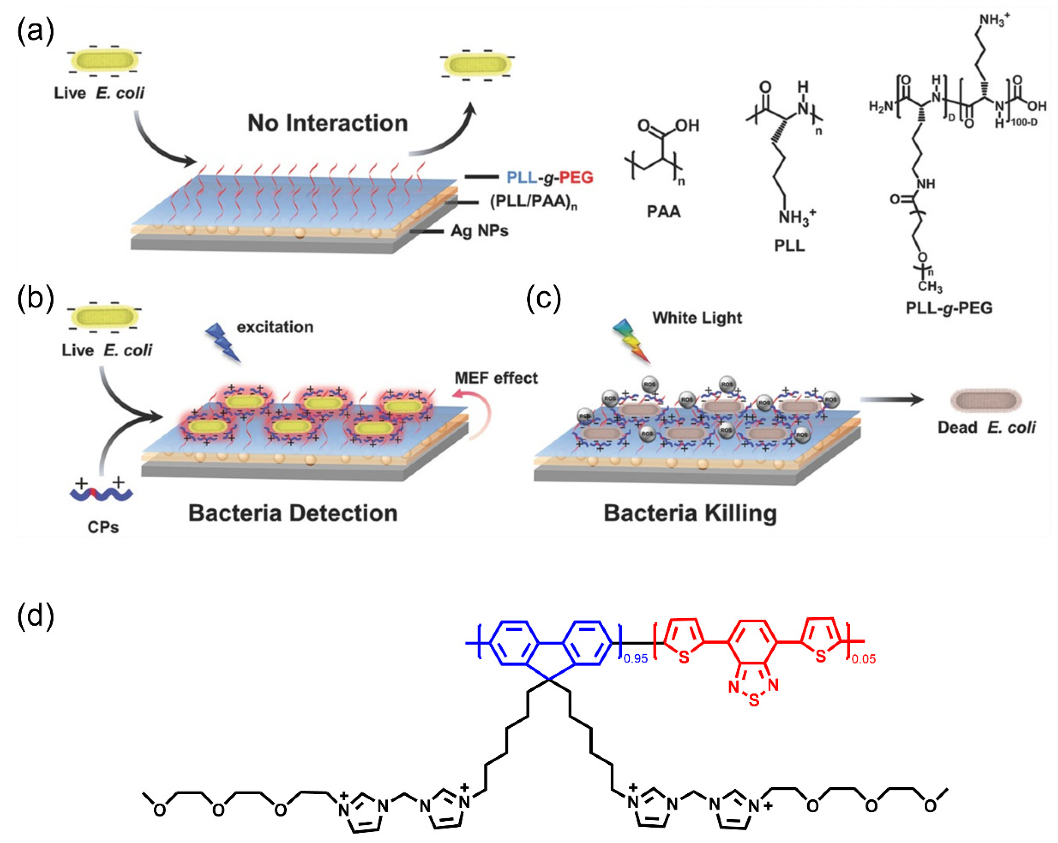 Polymers 14 03657 g015 550