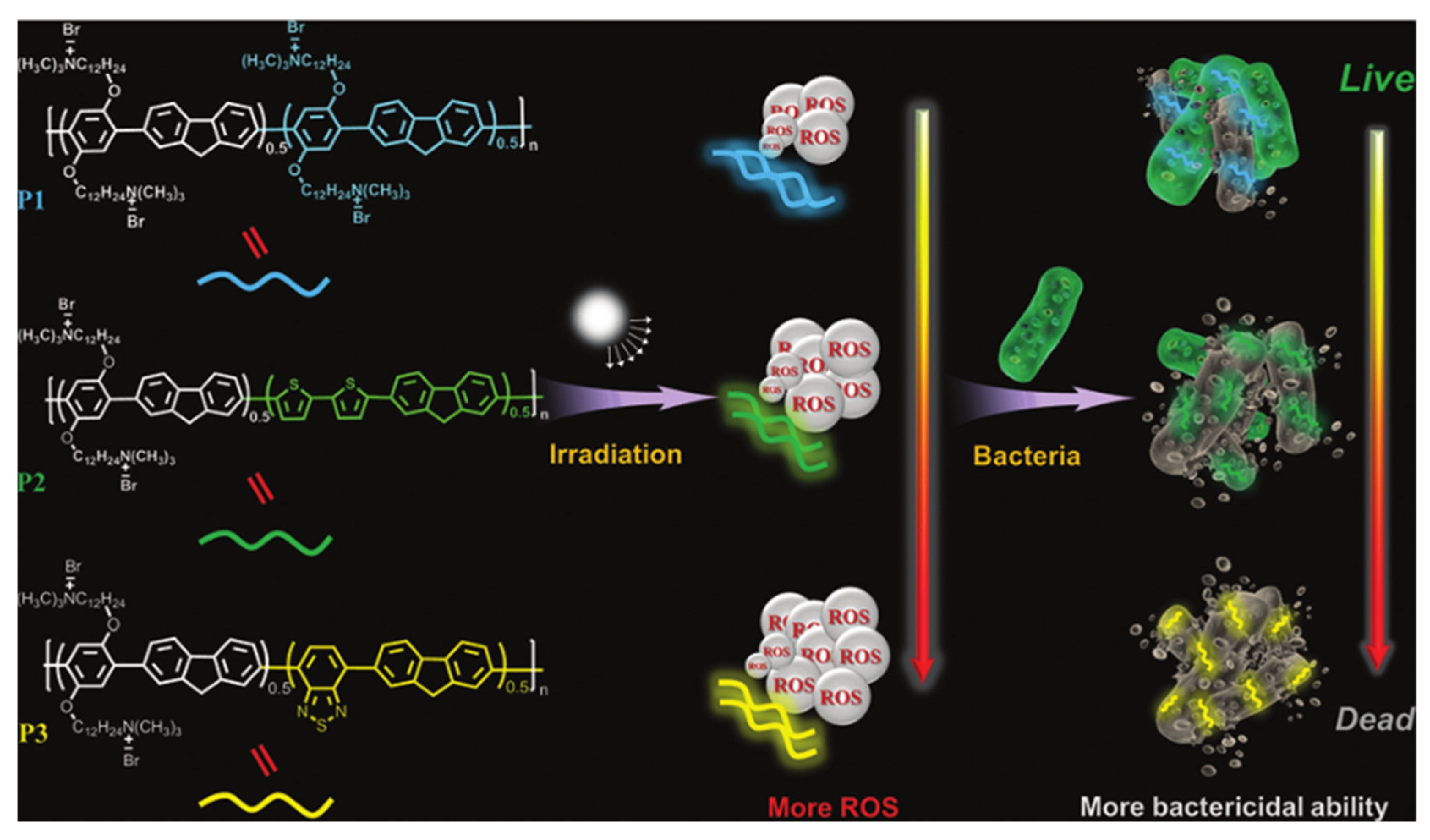 Polymers 14 03657 g016 550
