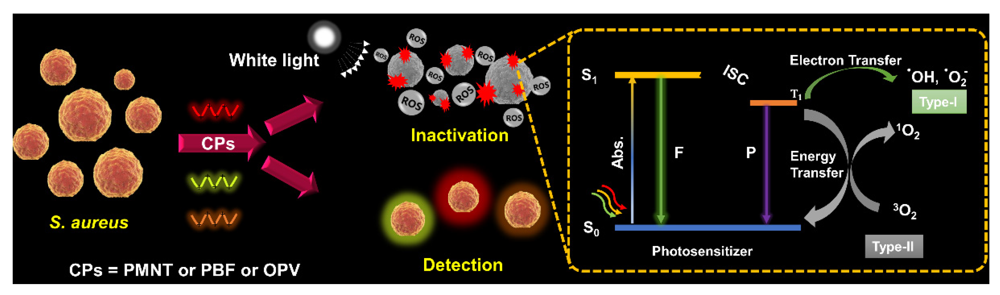 Polymers 14 03657 g017 550