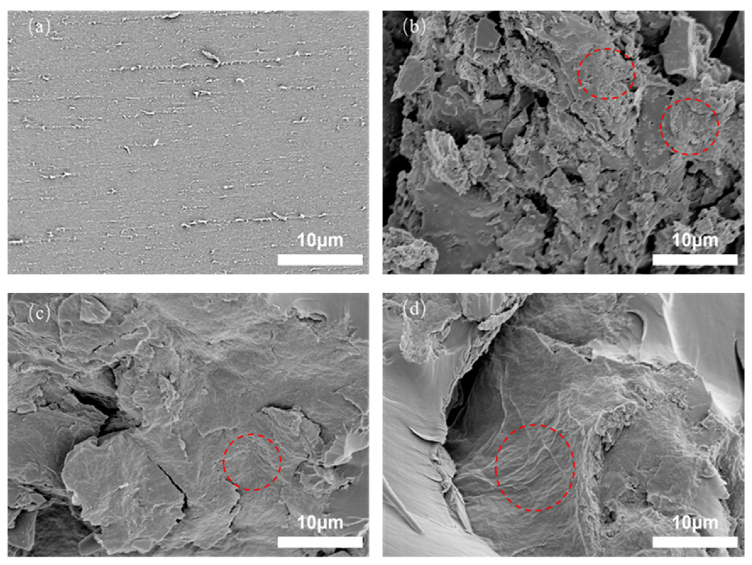 Polymers 14 03660 g006