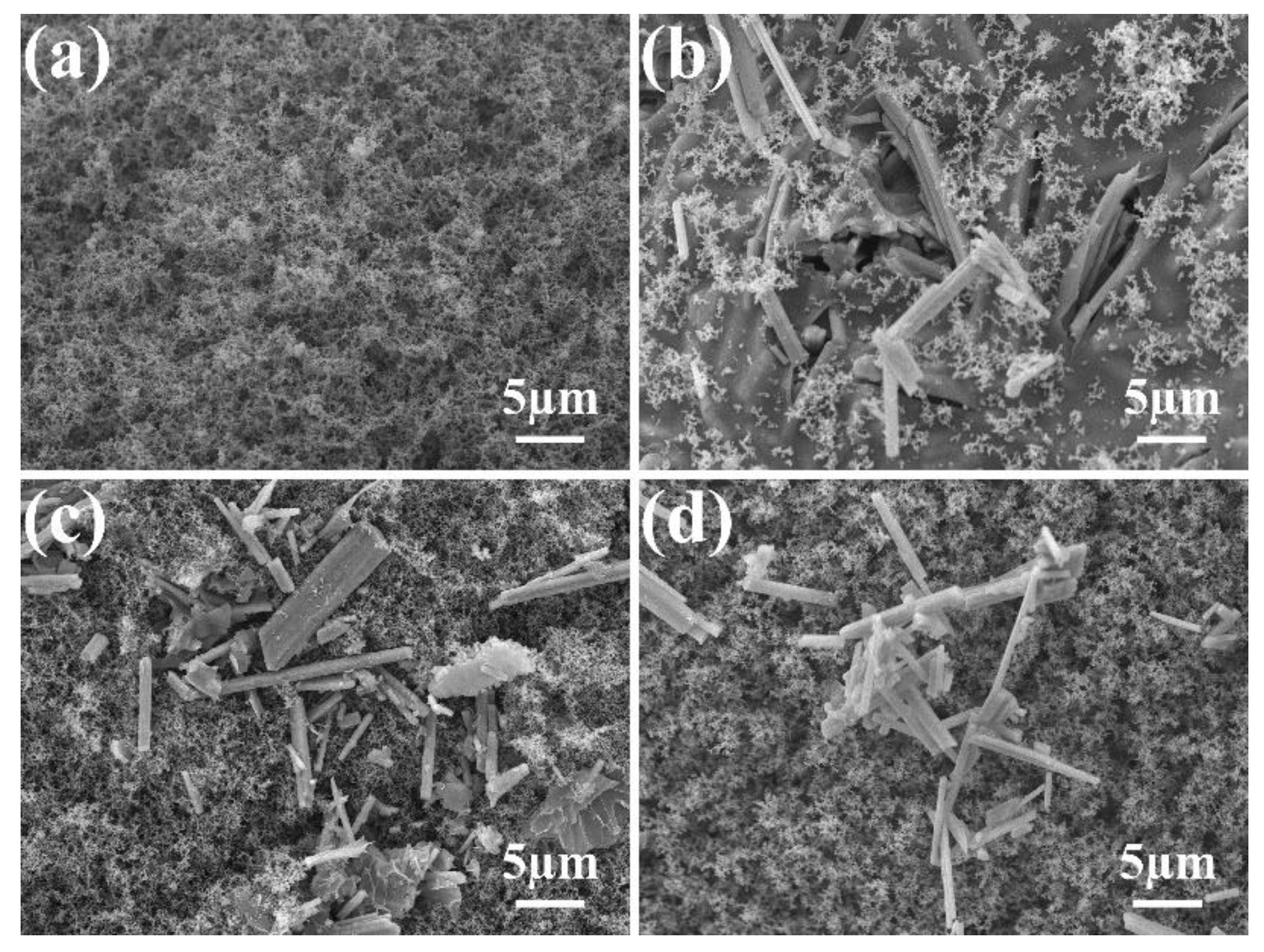Polymers 14 03661 g013 550