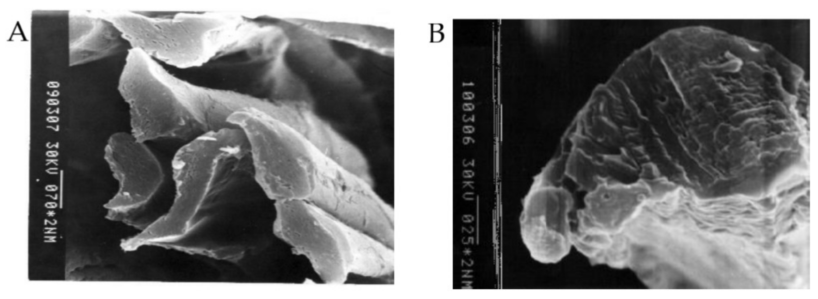 Polymers 14 03665 g002