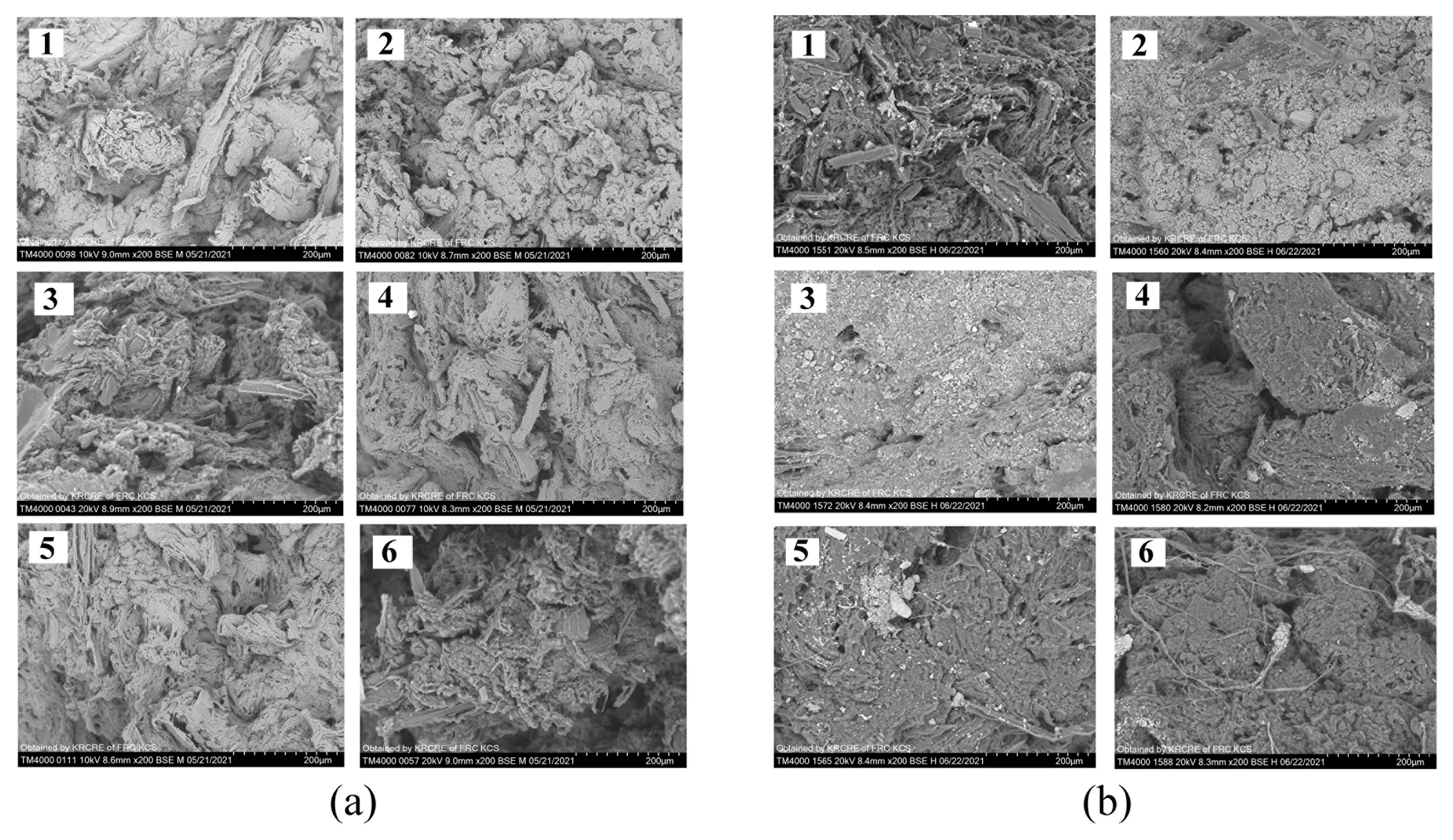 Polymers 14 03669 g005 550