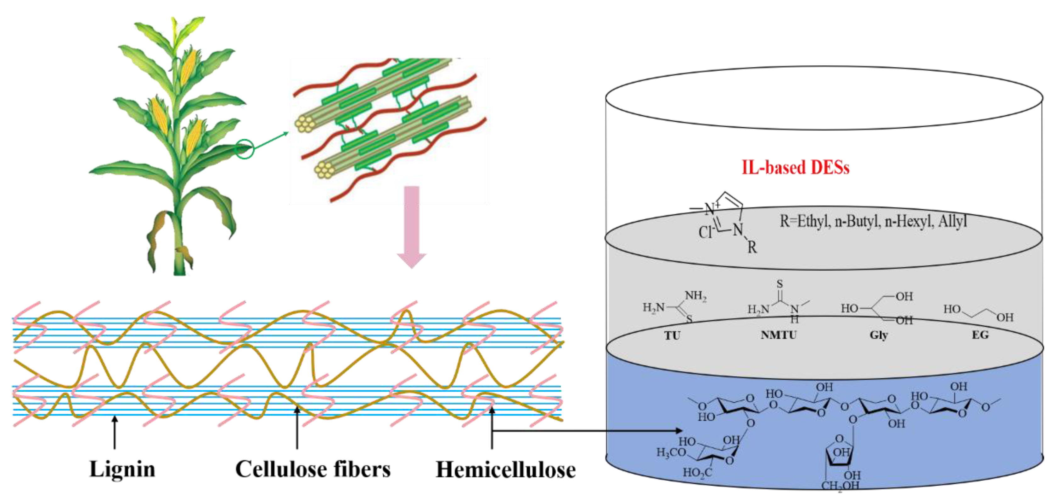 Polymers 14 03671 g001