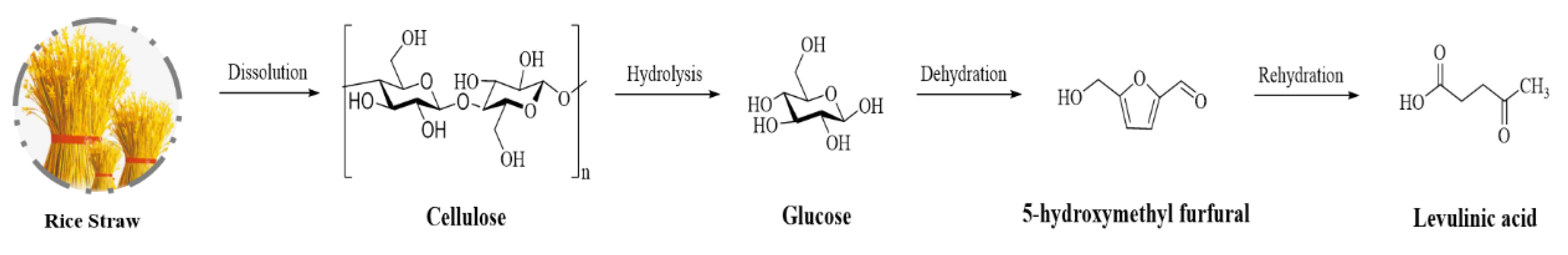 Polymers 14 03671 g002