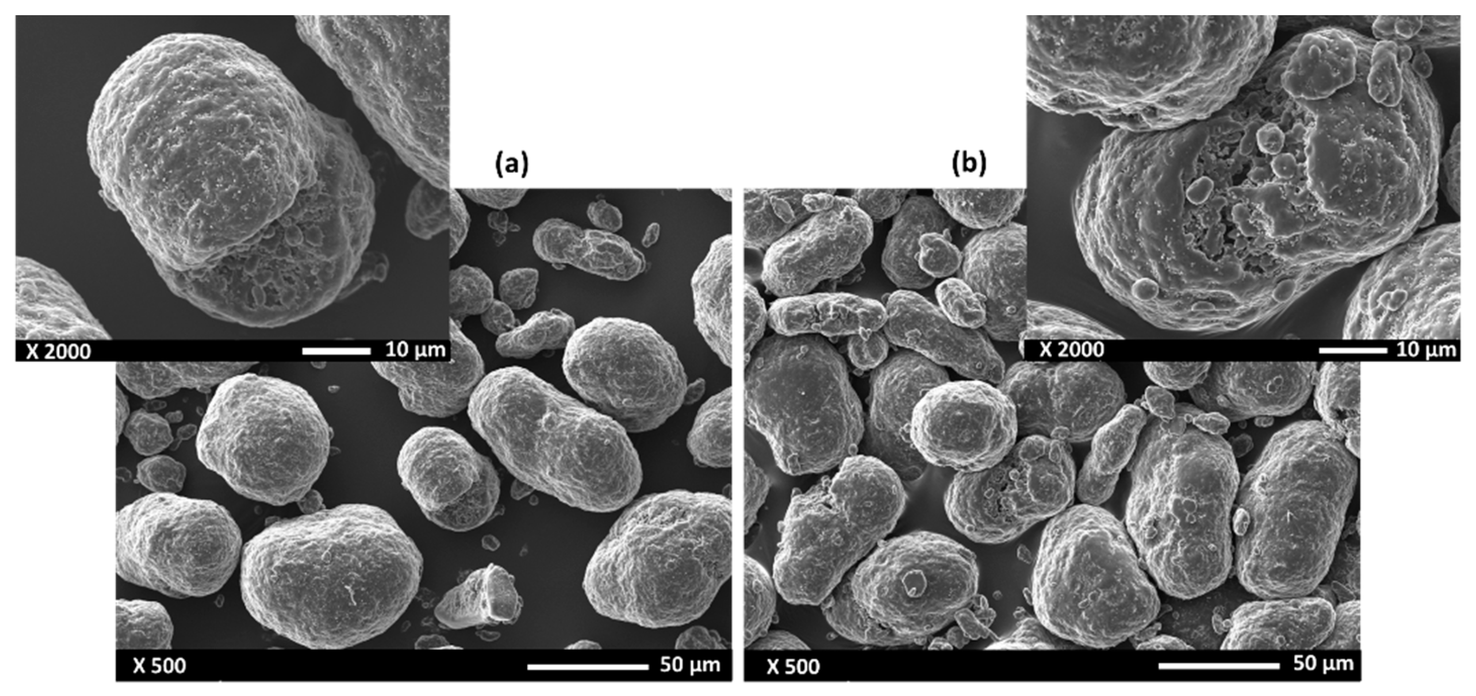 Polymers 14 03674 g005