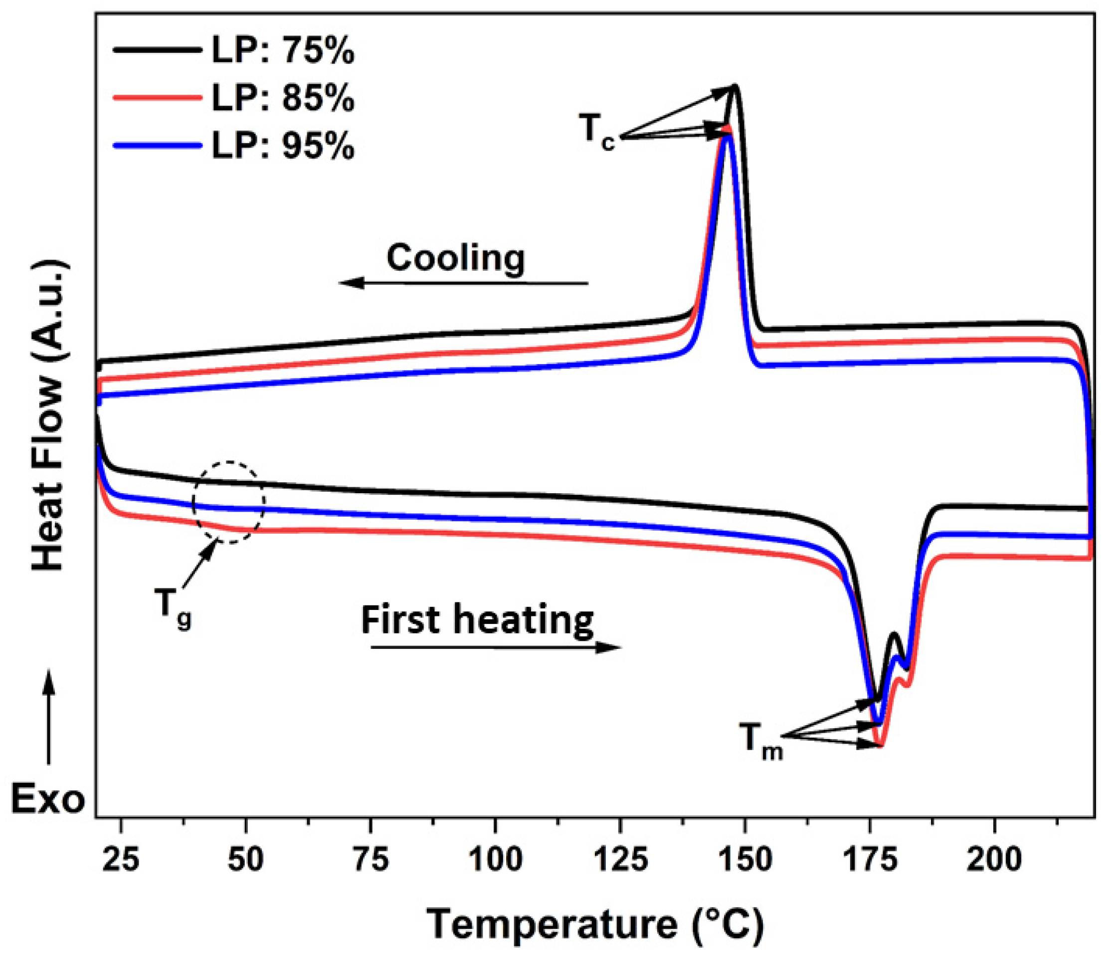 Polymers 14 03674 g012