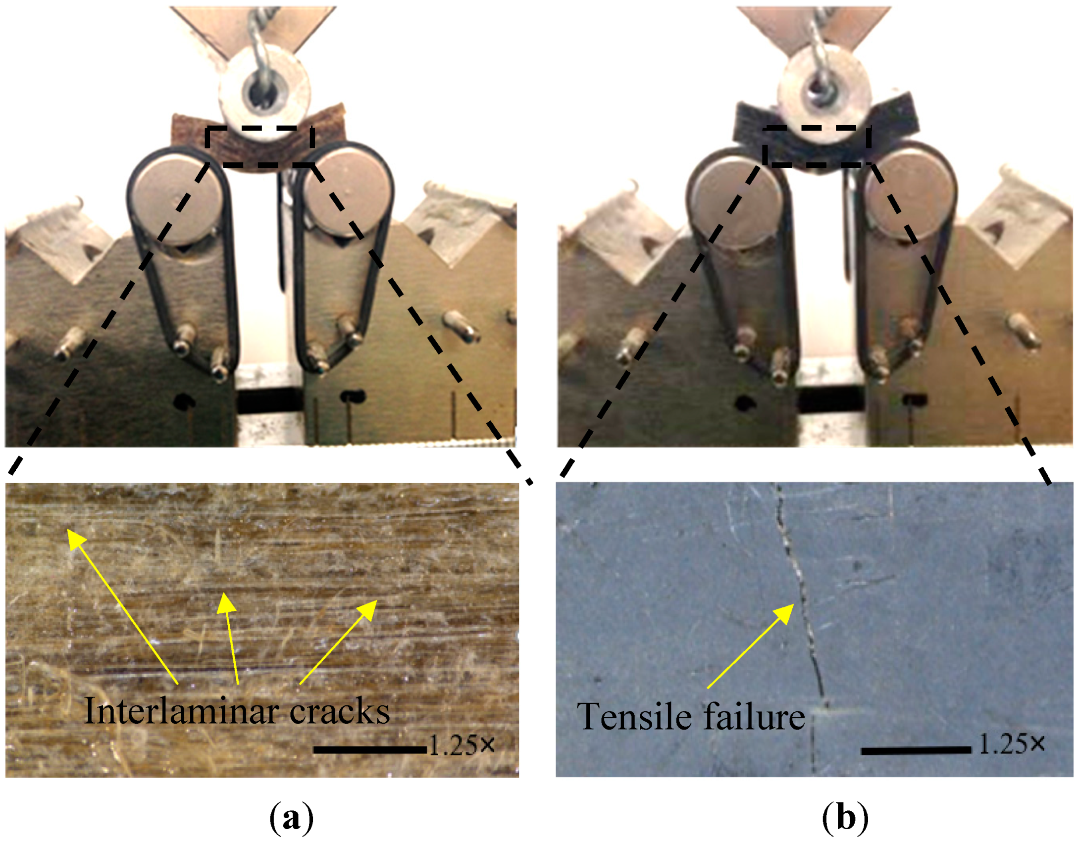 Polymers 14 03679 g010