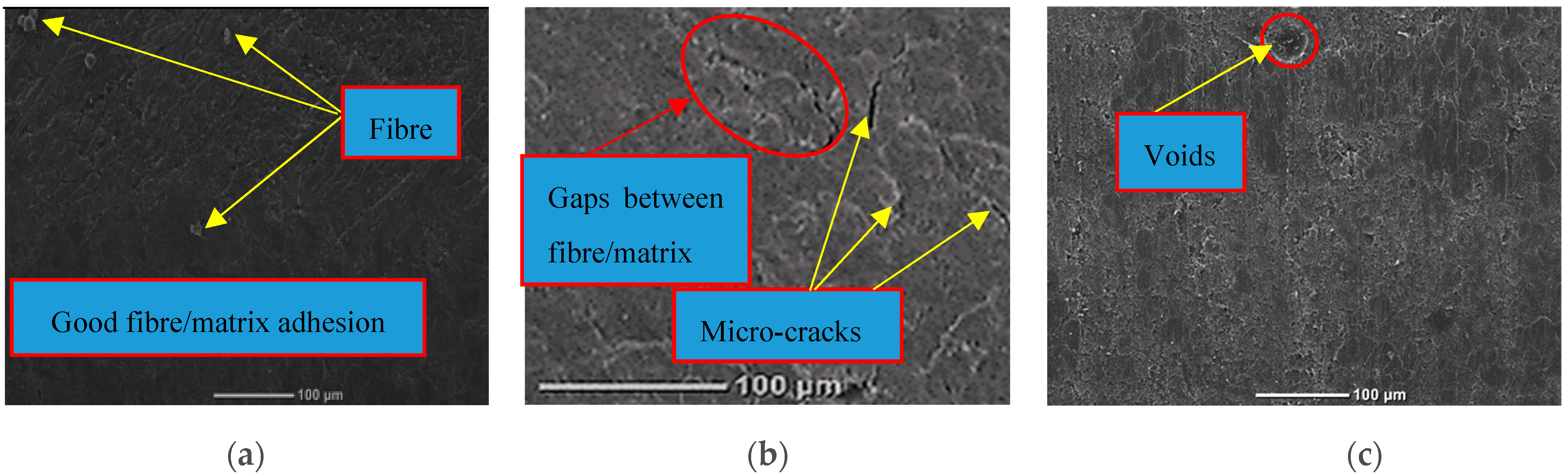Polymers 14 03679 g012