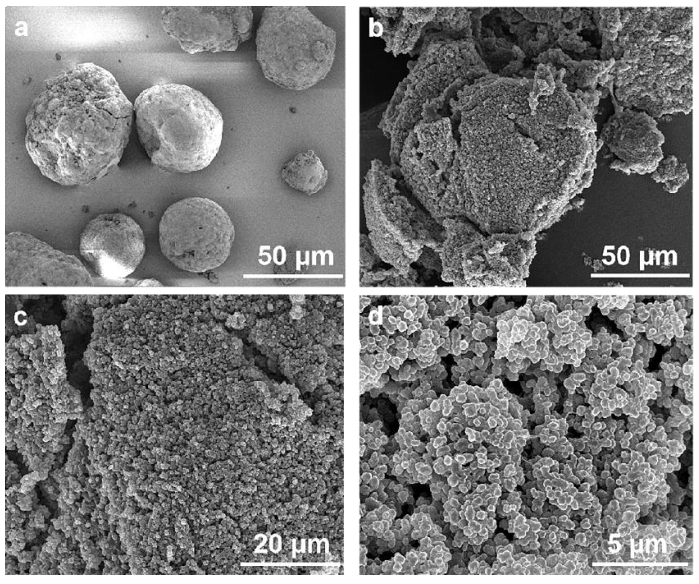 Polymers 14 03684 g008