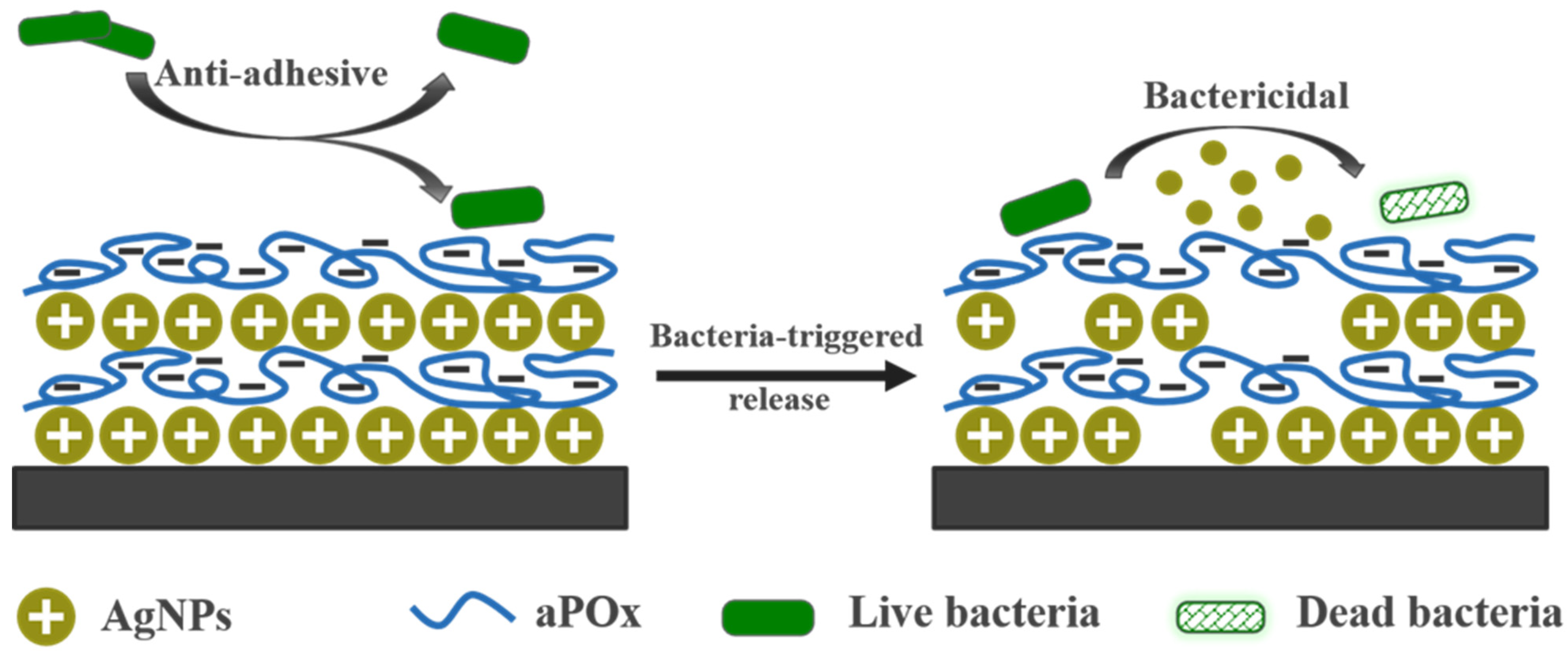Polymers 14 03685 g001 550