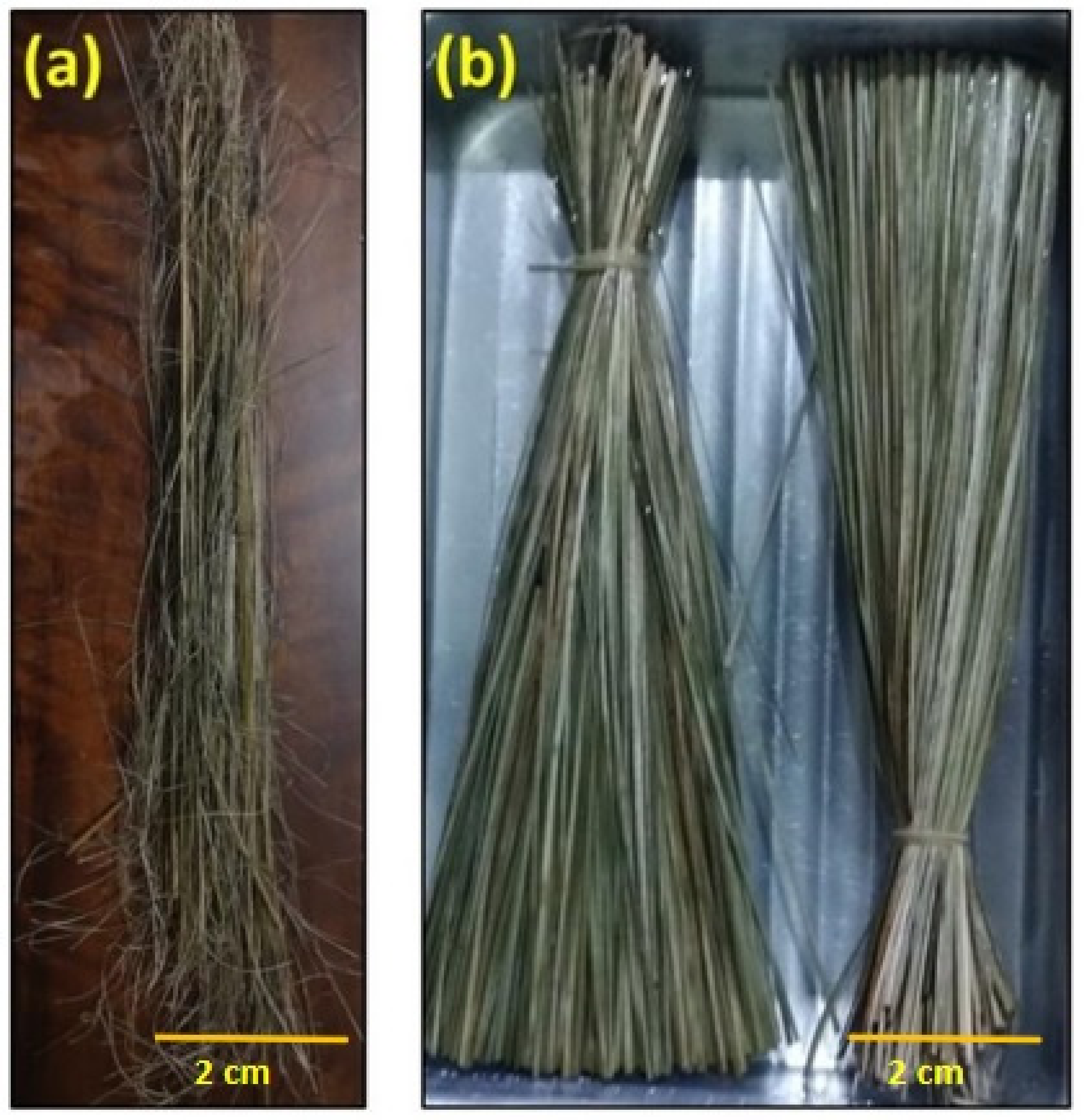 Polymers 14 03687 g001 550