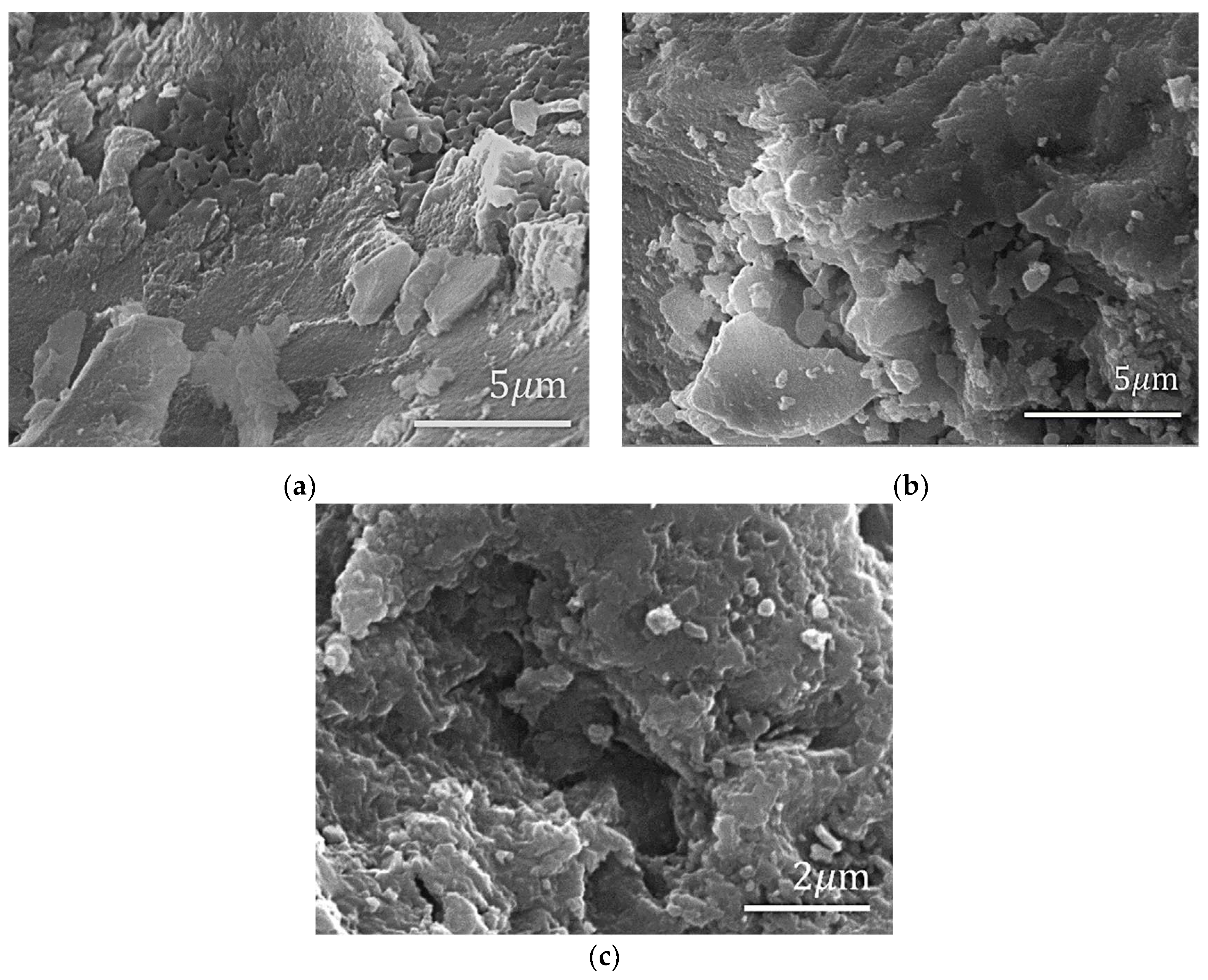 Polymers 14 03689 g002 550