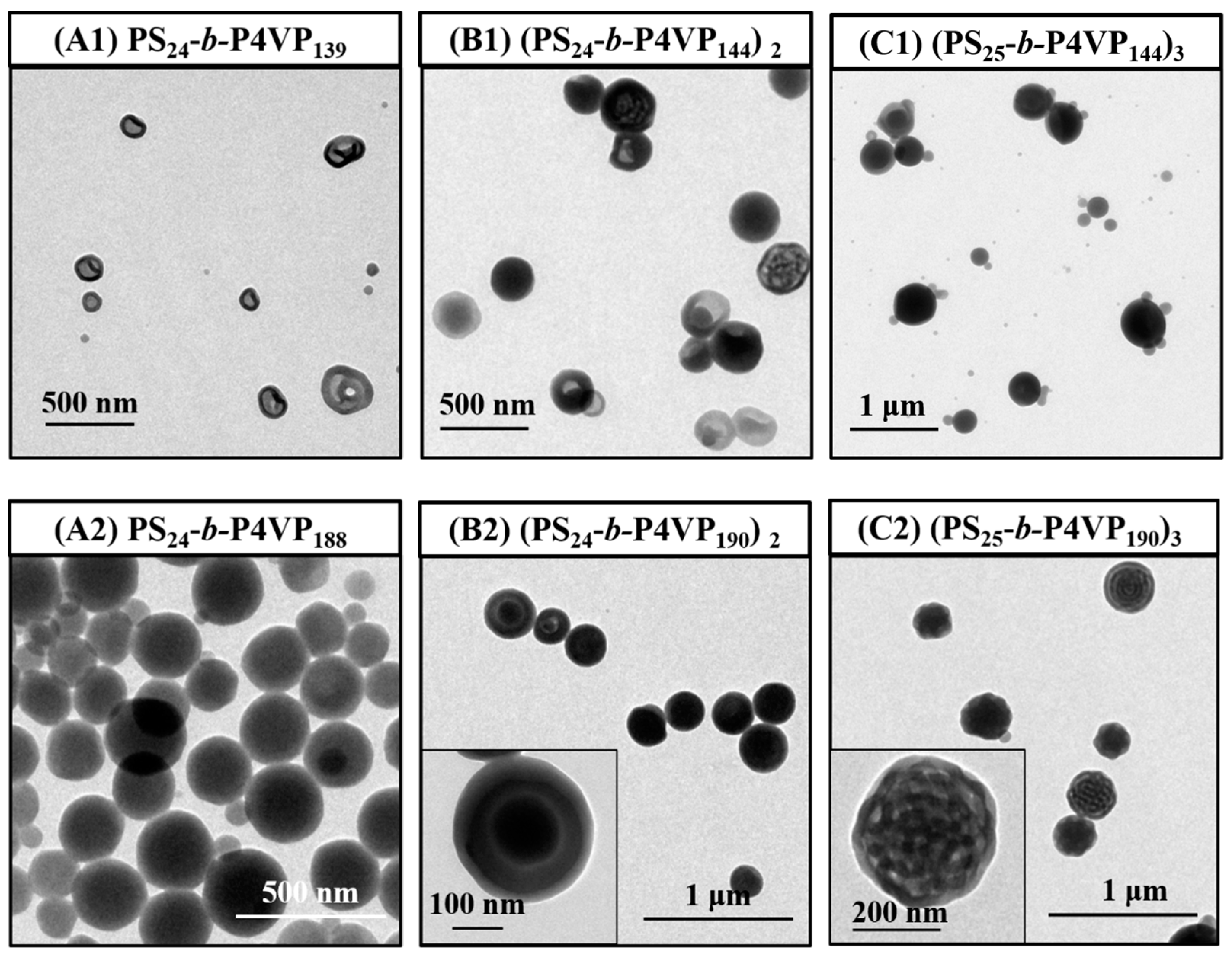 Polymers 14 03691 g007