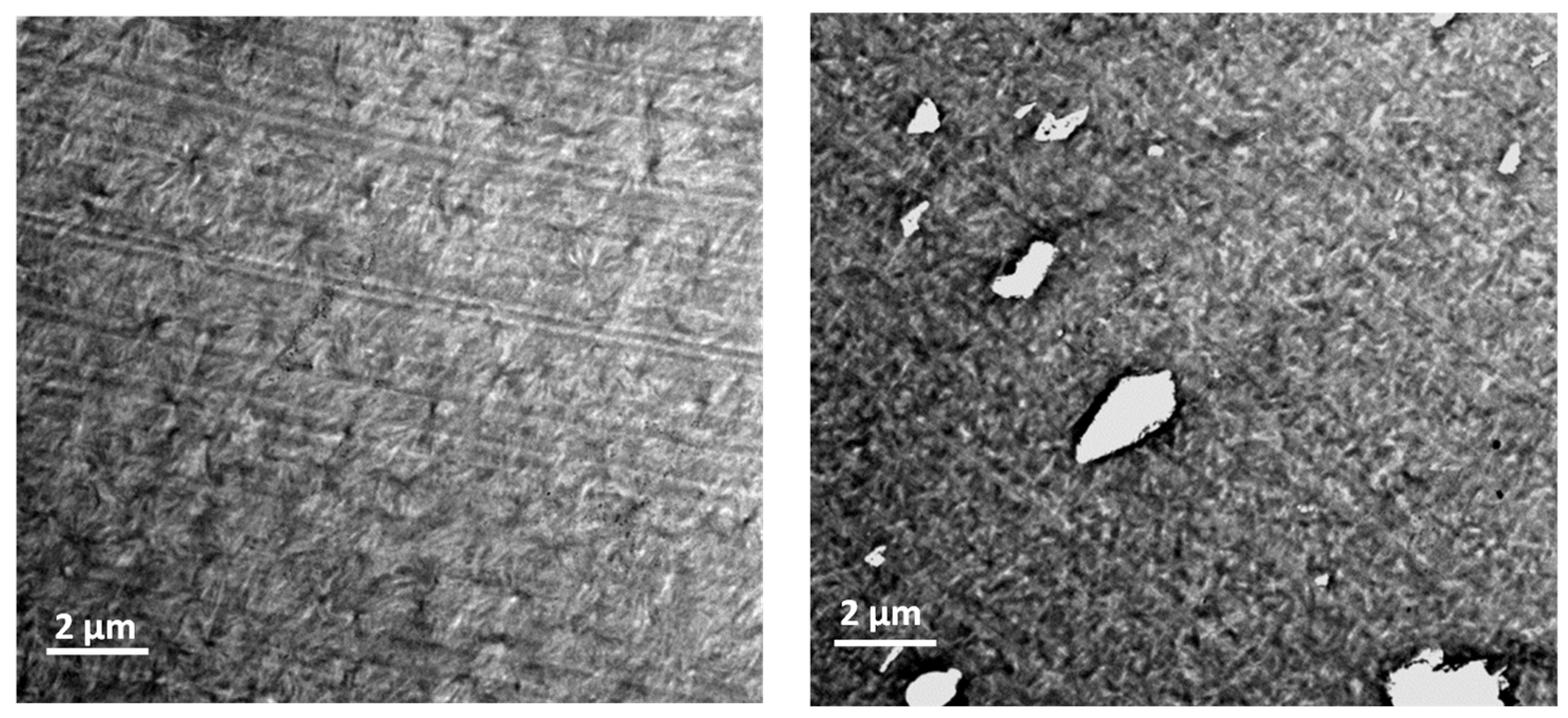 Polymers 14 03692 g005