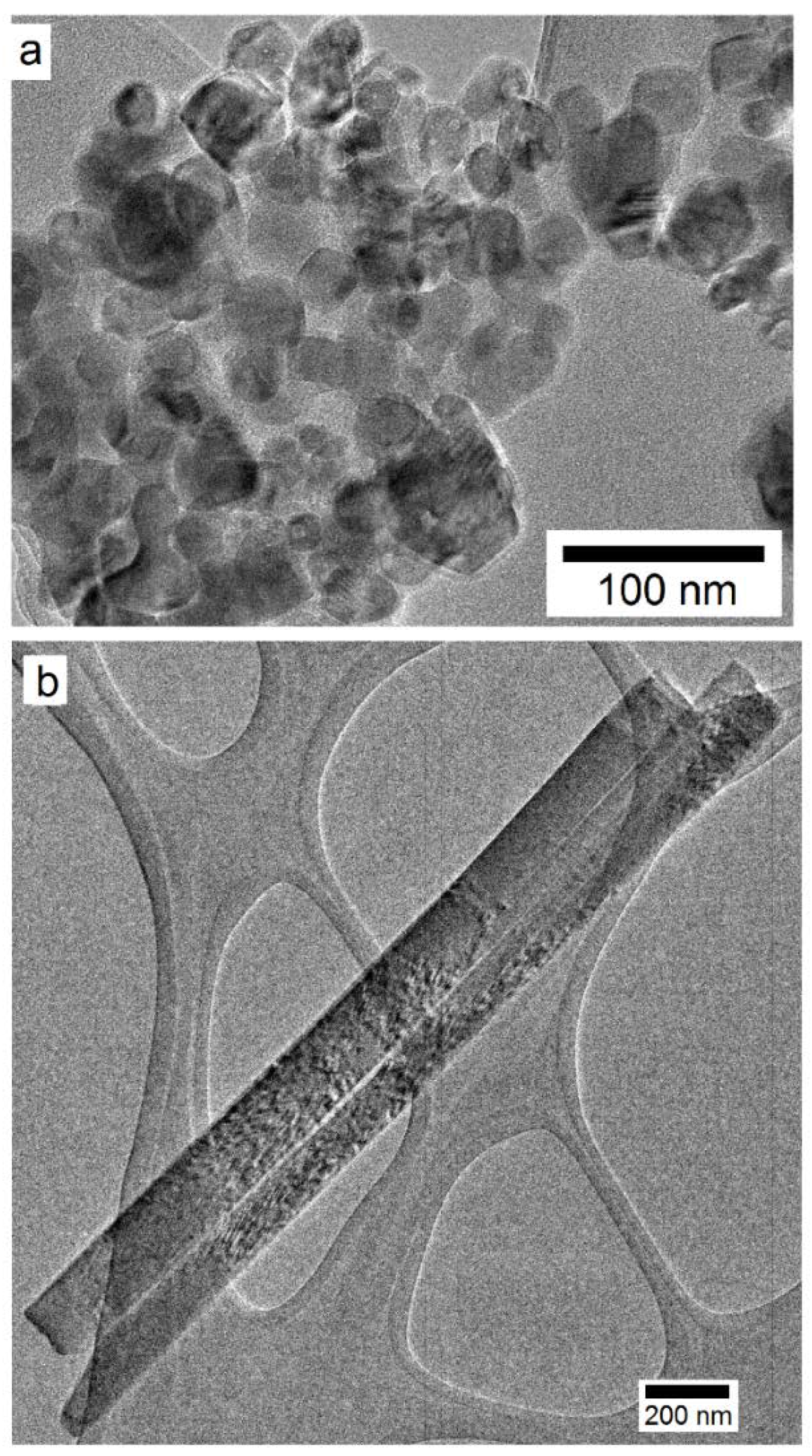 Polymers 14 03693 g003