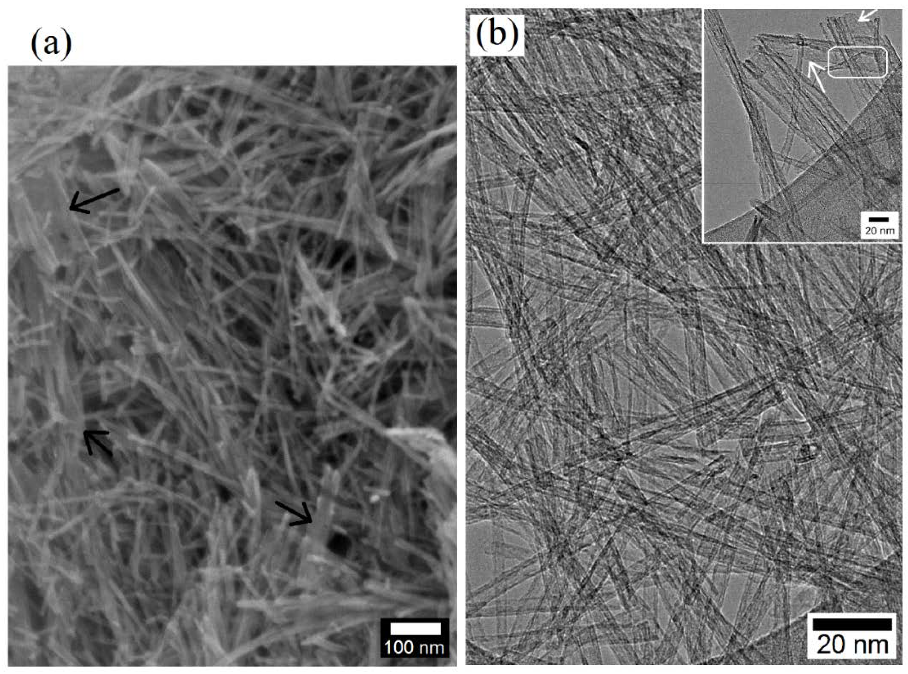 Polymers 14 03693 g004