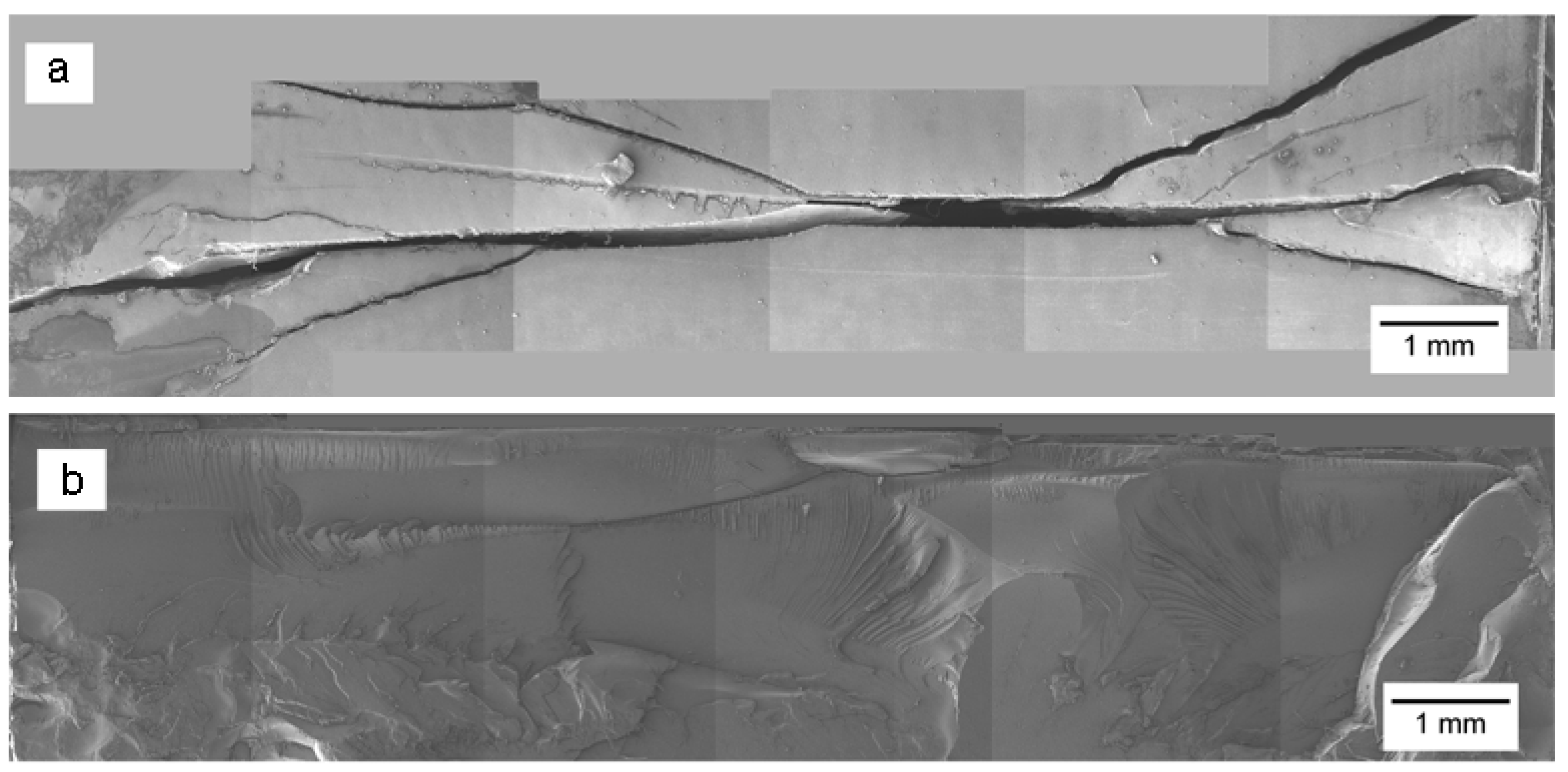 Polymers 14 03693 g008