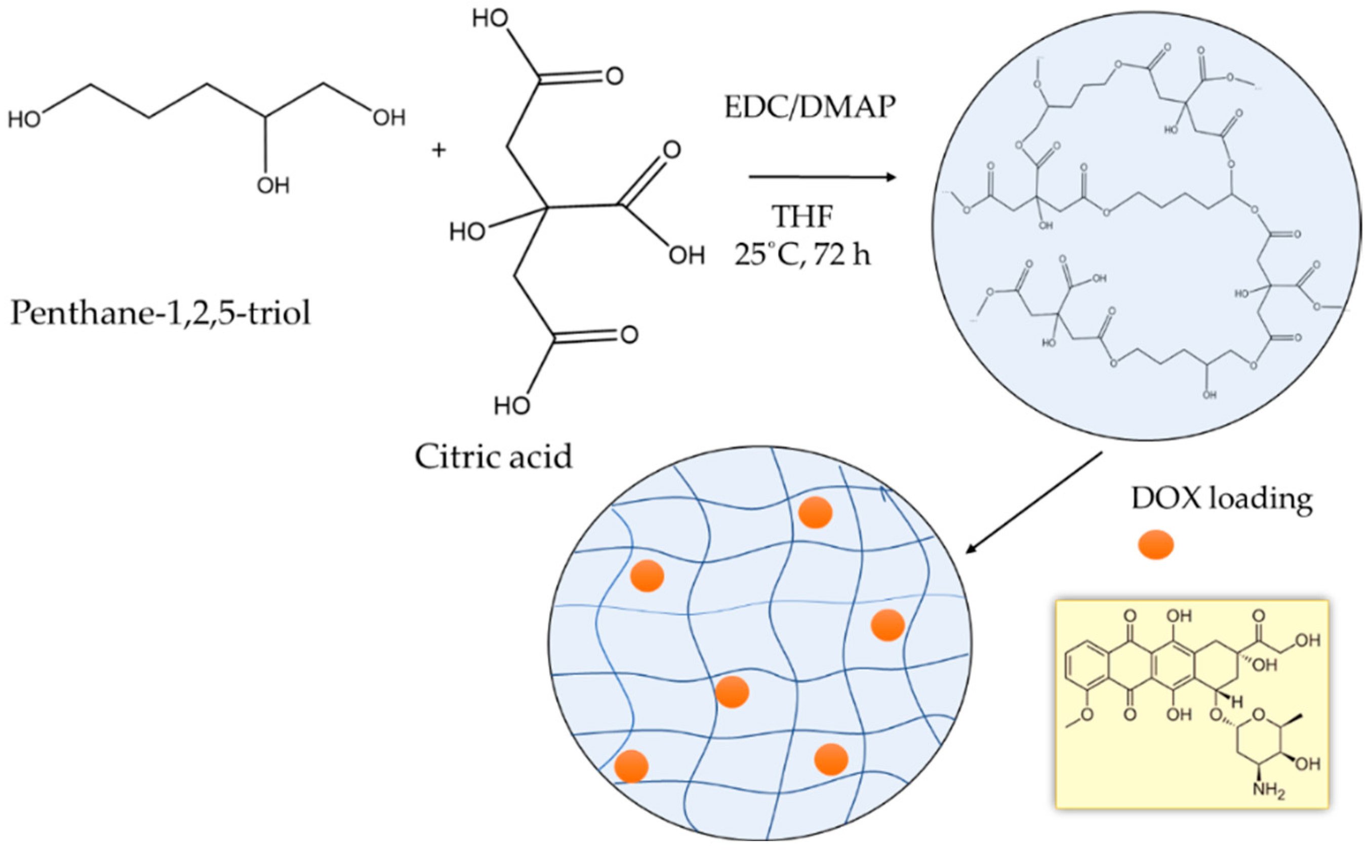 Polymers 14 03694 g001 550