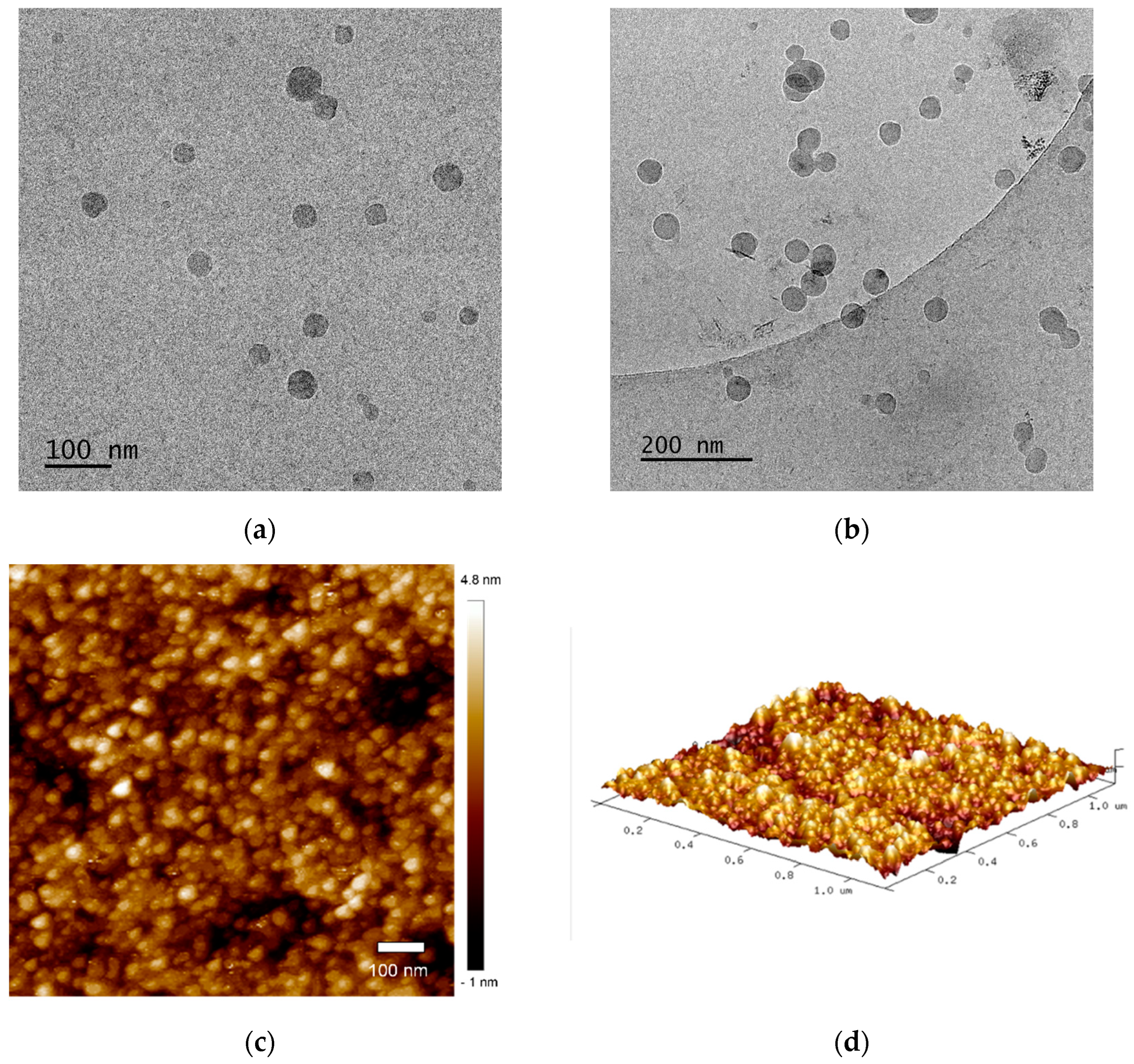 Polymers 14 03694 g004 550
