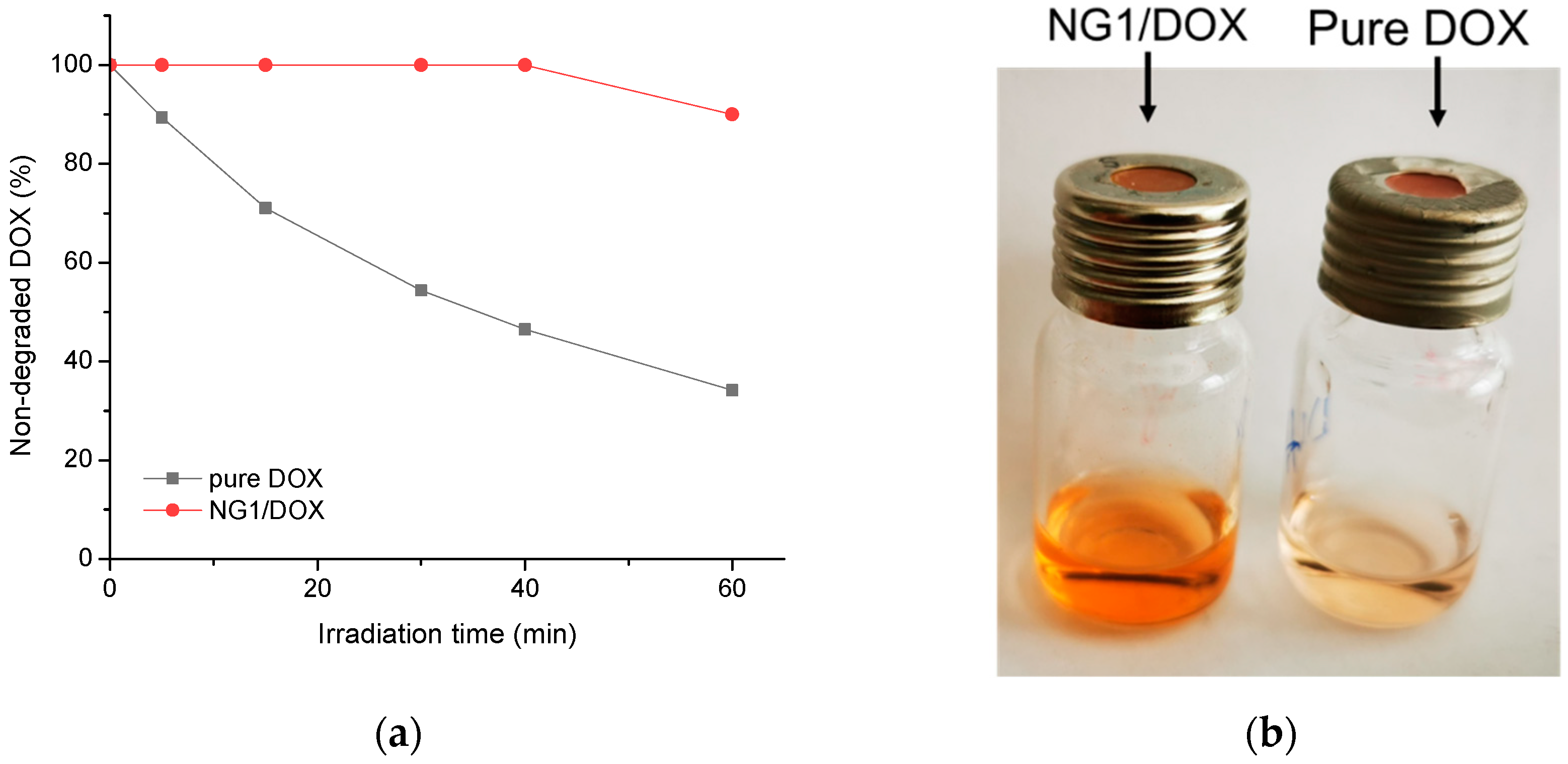 Polymers 14 03694 g008 550