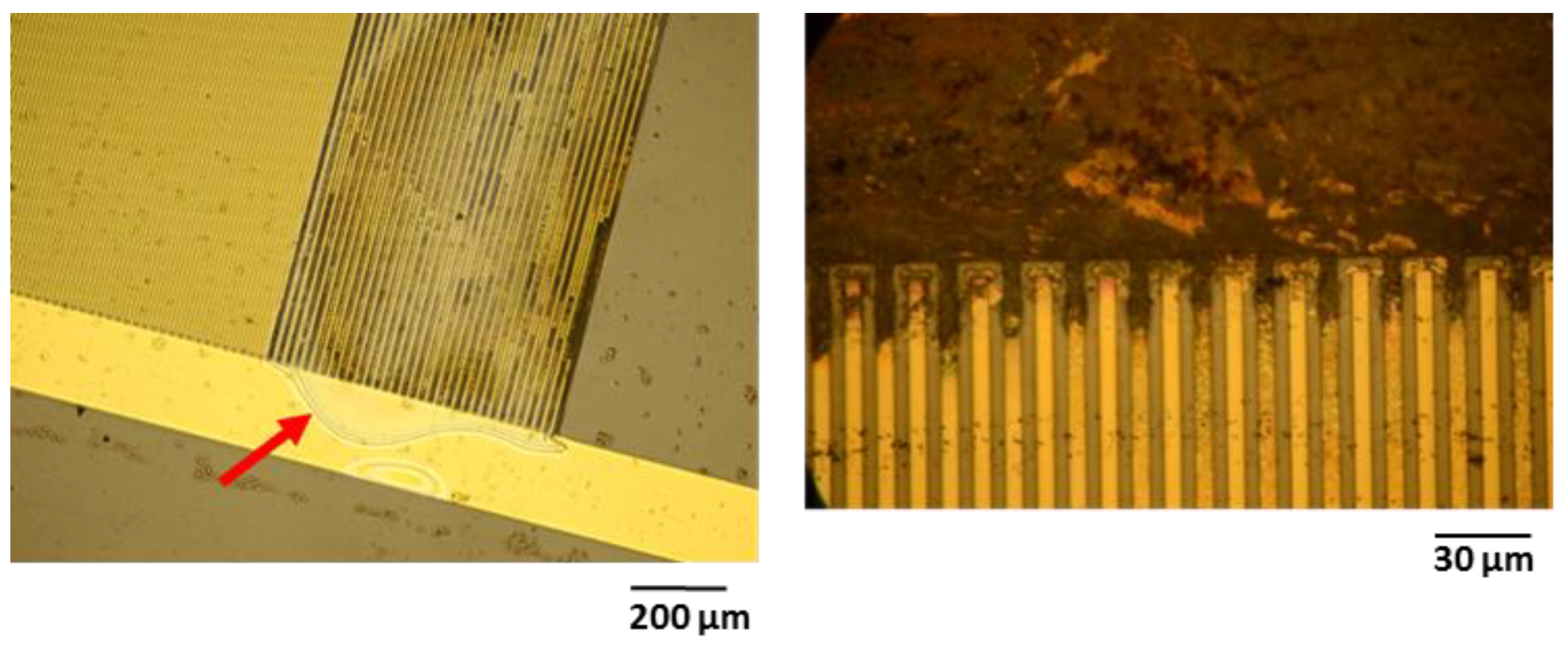 Polymers 14 03702 g009 Polymers 14 03702 g009