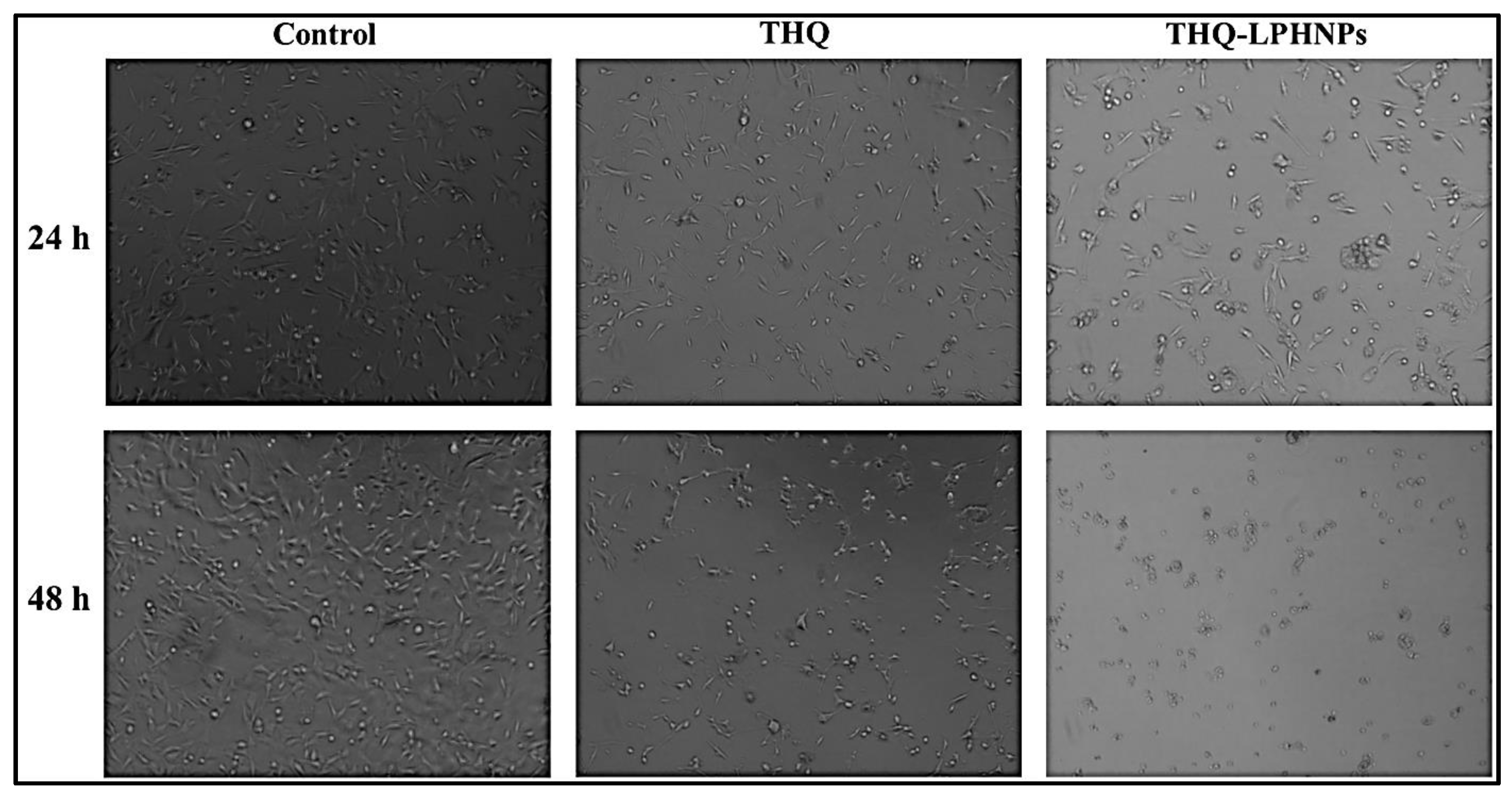 Polymers 14 03705 g010 550