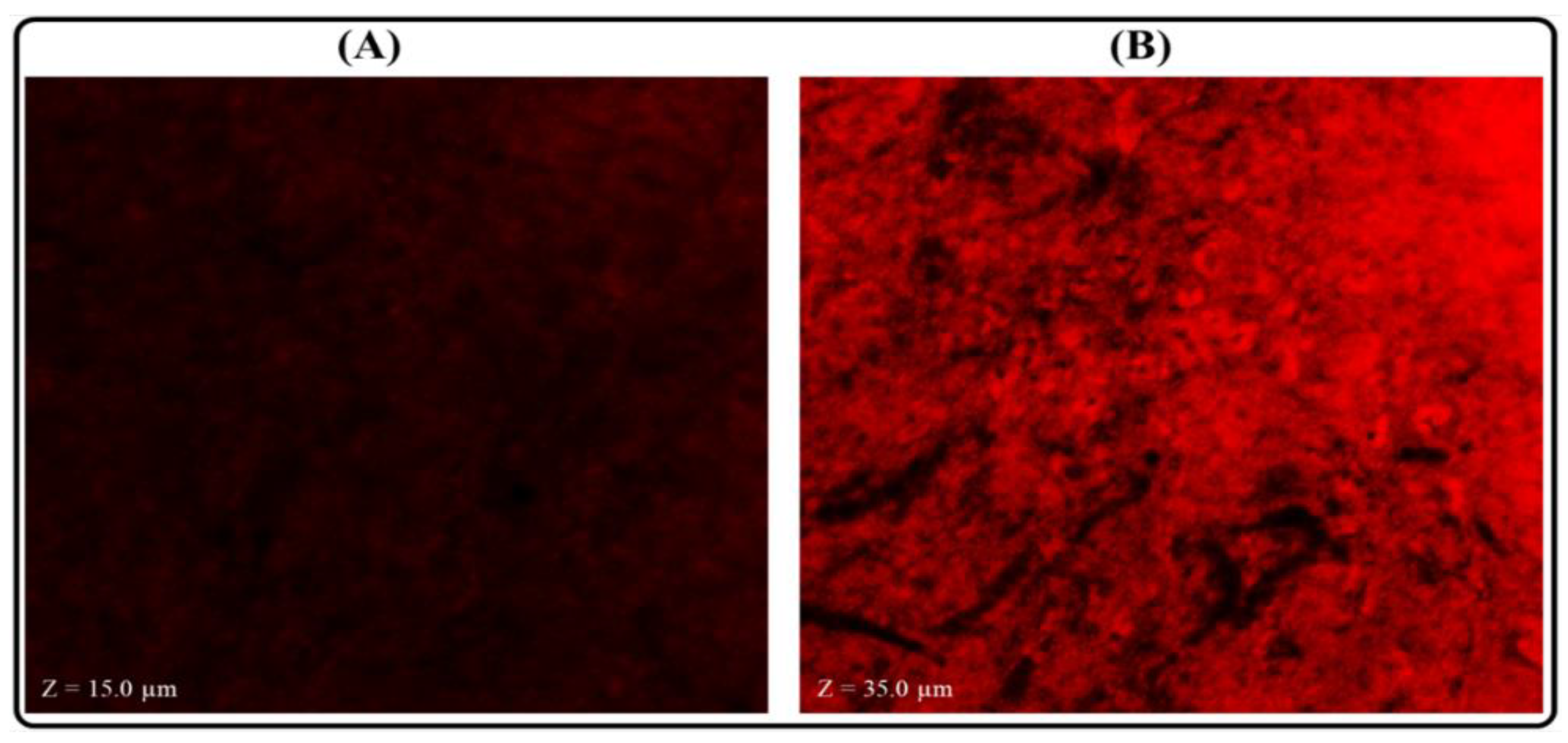 Polymers 14 03705 g013 550