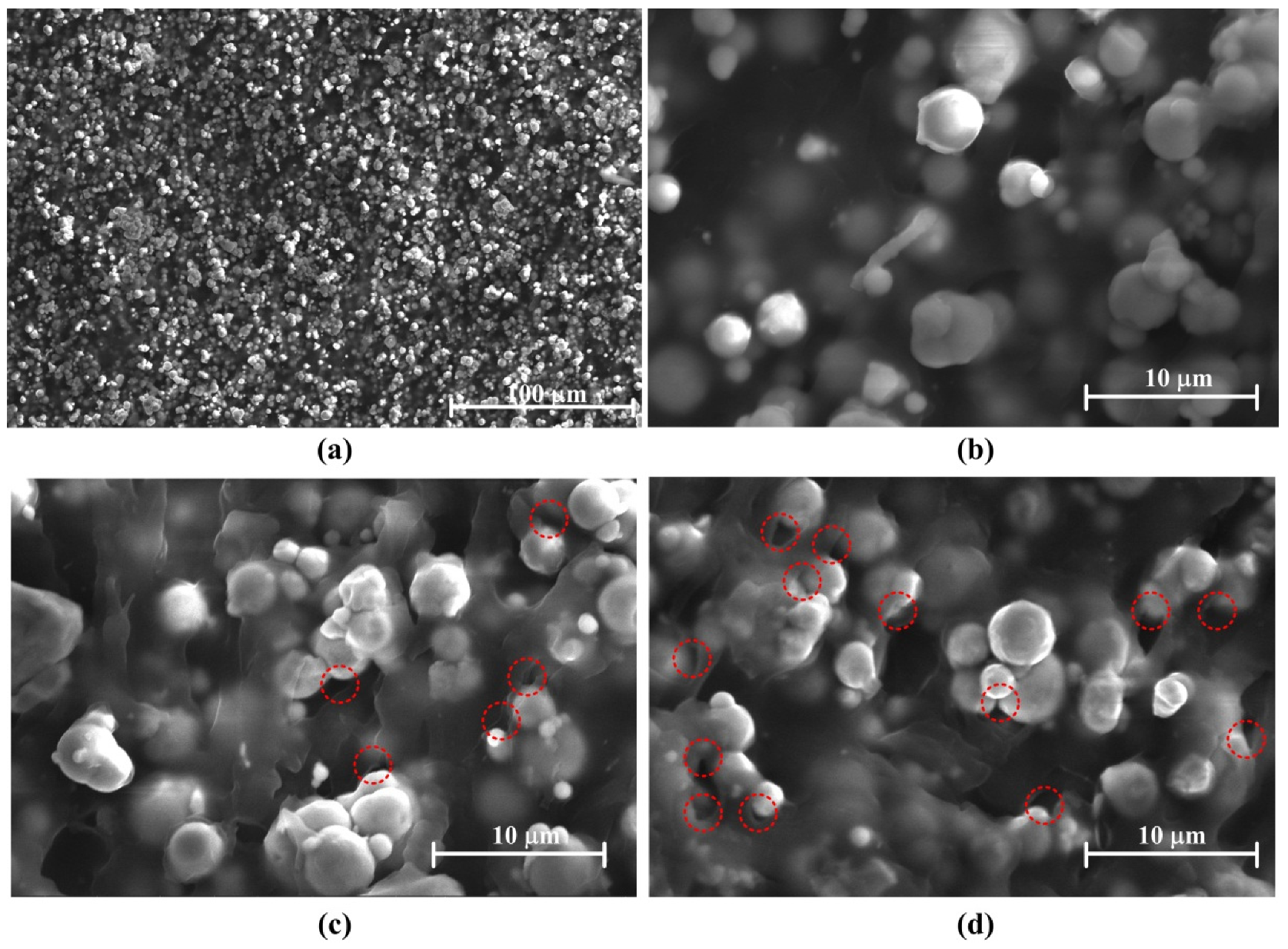 Polymers 14 03708 g004 550